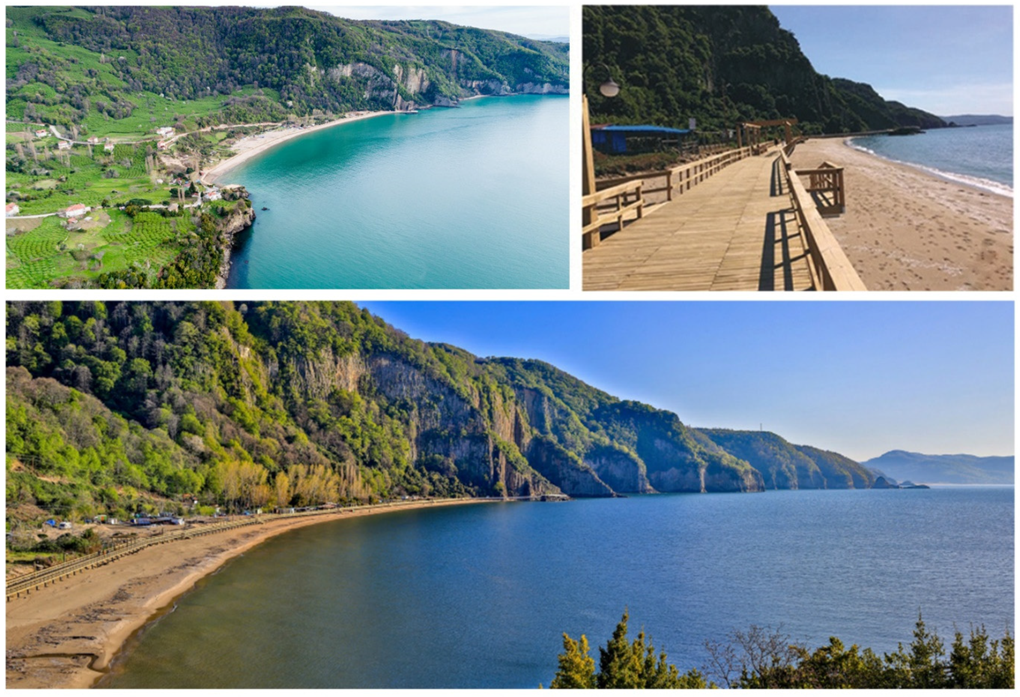 Sustainability 13 11812 g005 550