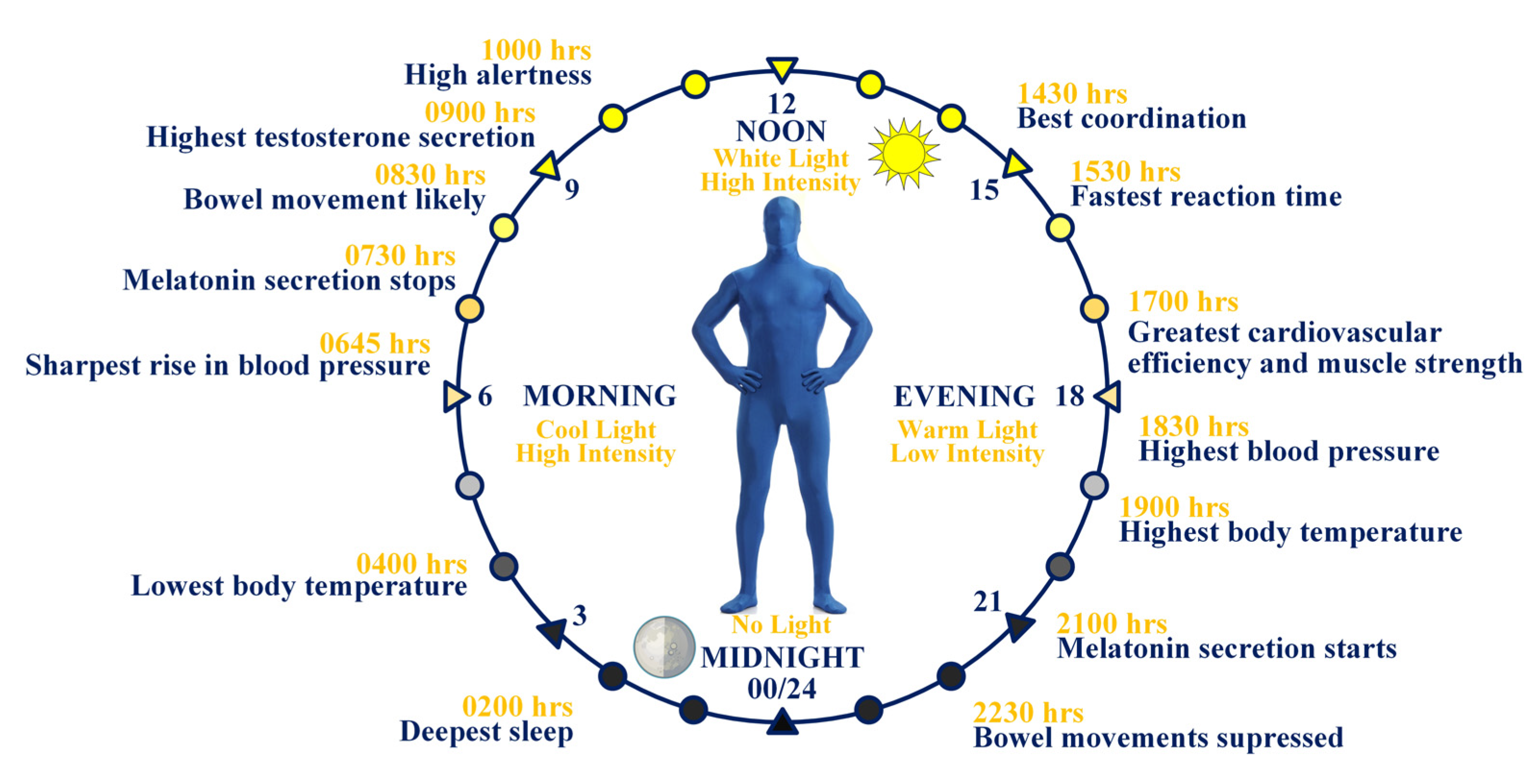 Sustainability 13 11855 g008