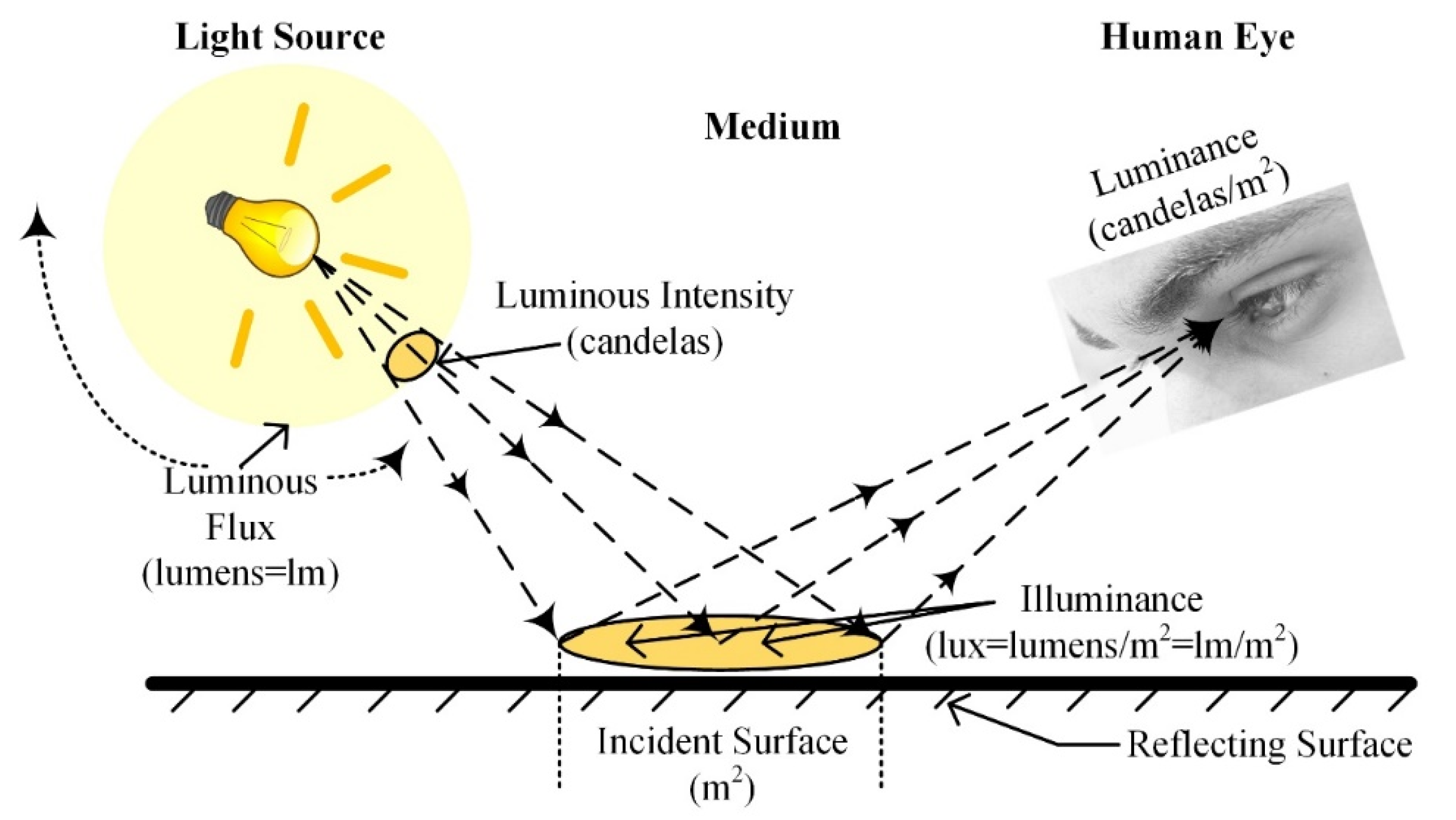 Sustainability 13 11855 g009
