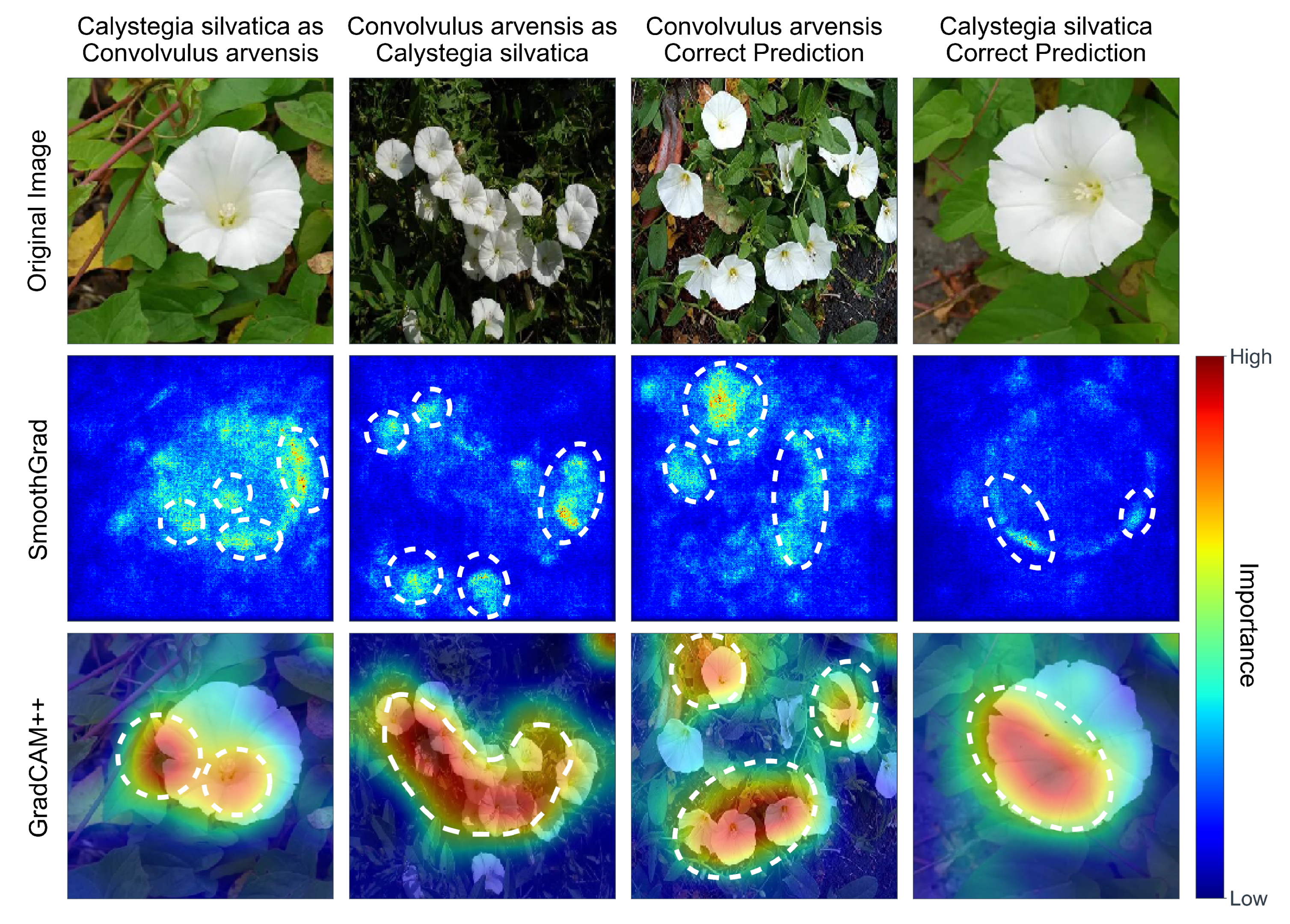 Sustainability 13 11865 g007 550
