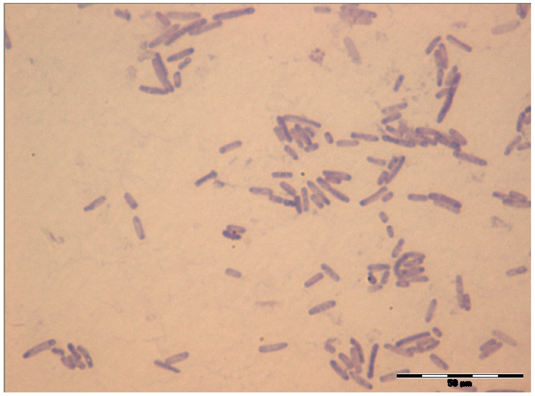 Sustainability 13 11915 g002 550