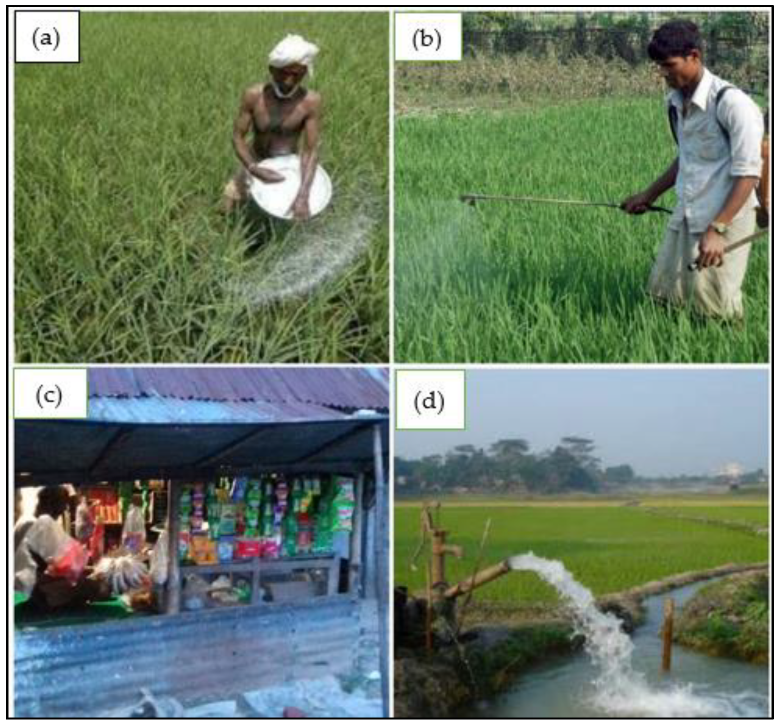 Sustainability 13 11922 g004 550