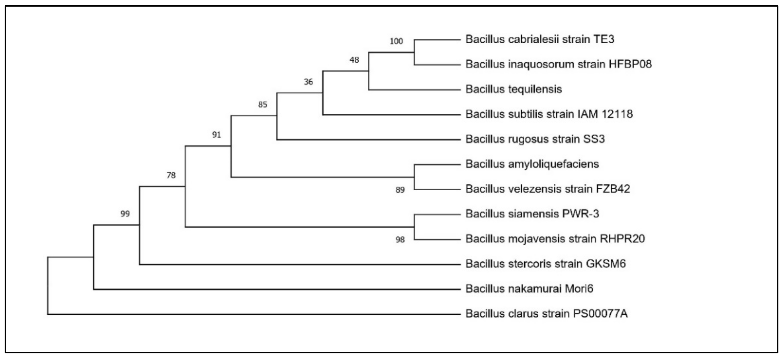 Sustainability 13 12091 g001