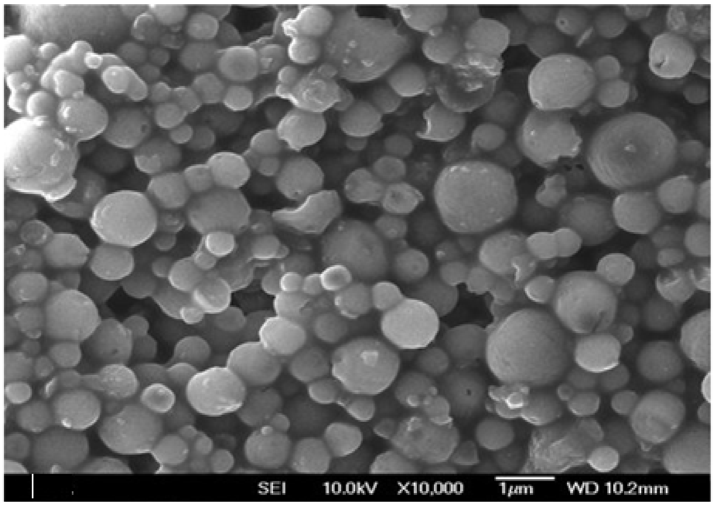 Sustainability 13 12103 g001