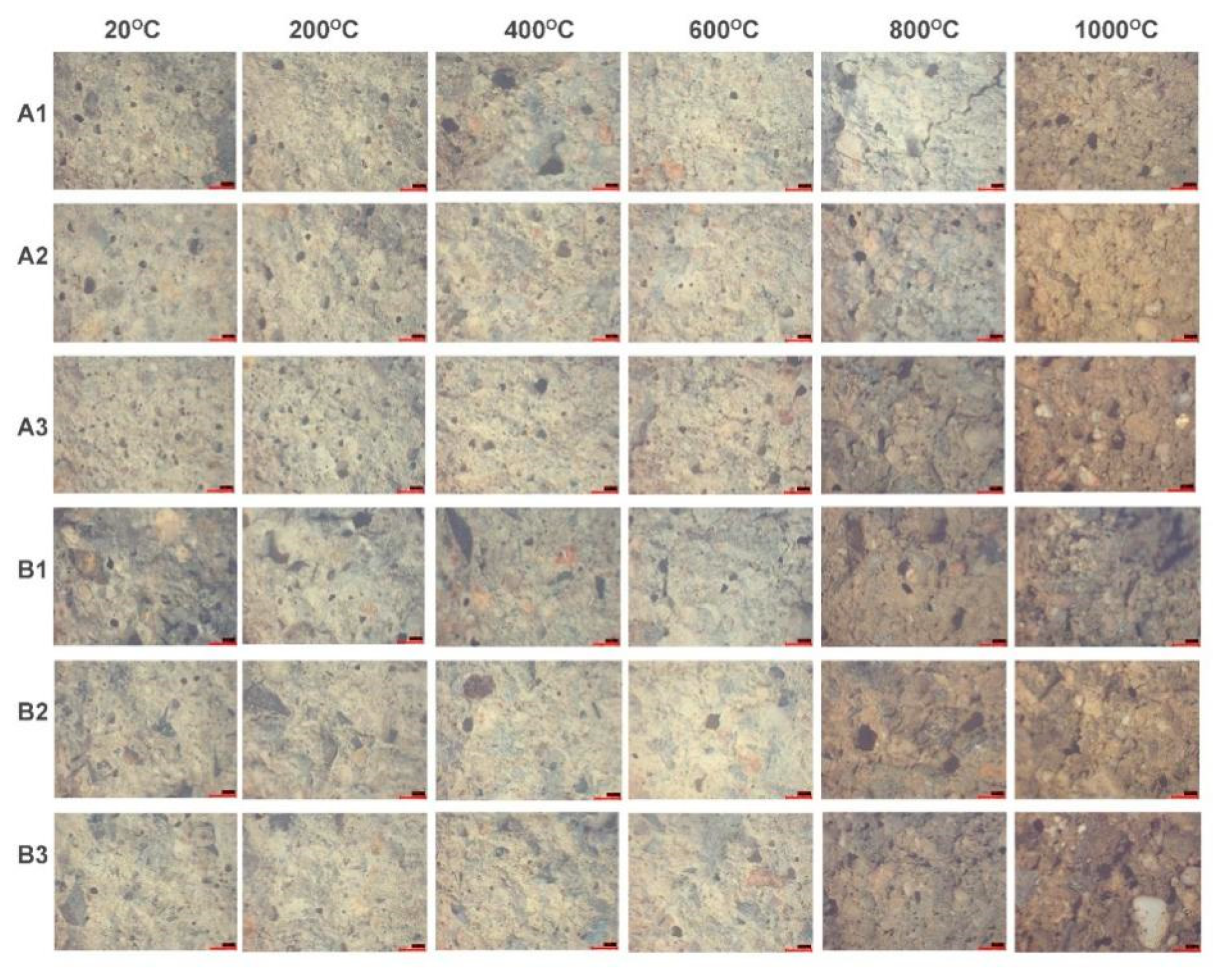 Sustainability 13 12104 g009
