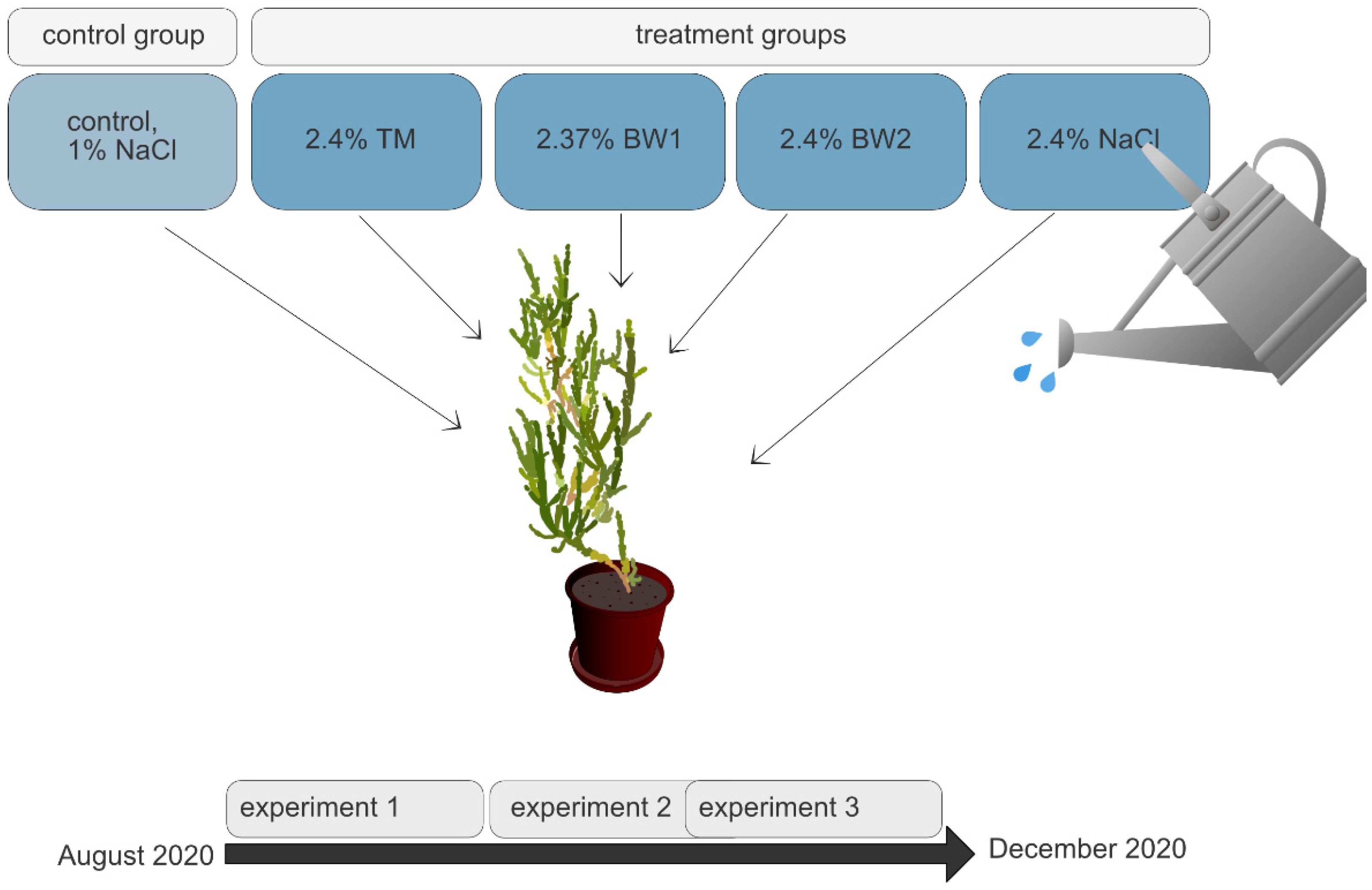 Sustainability 13 12105 g001