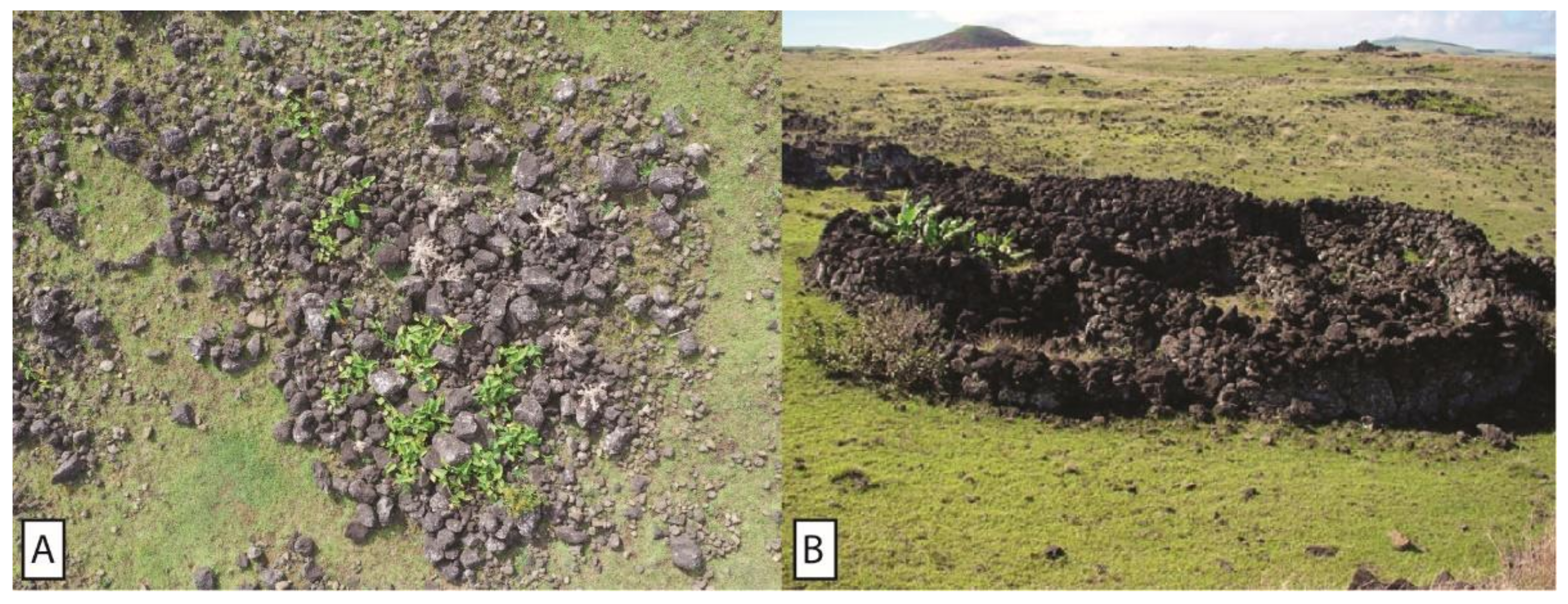 Sustainability 13 12118 g005
