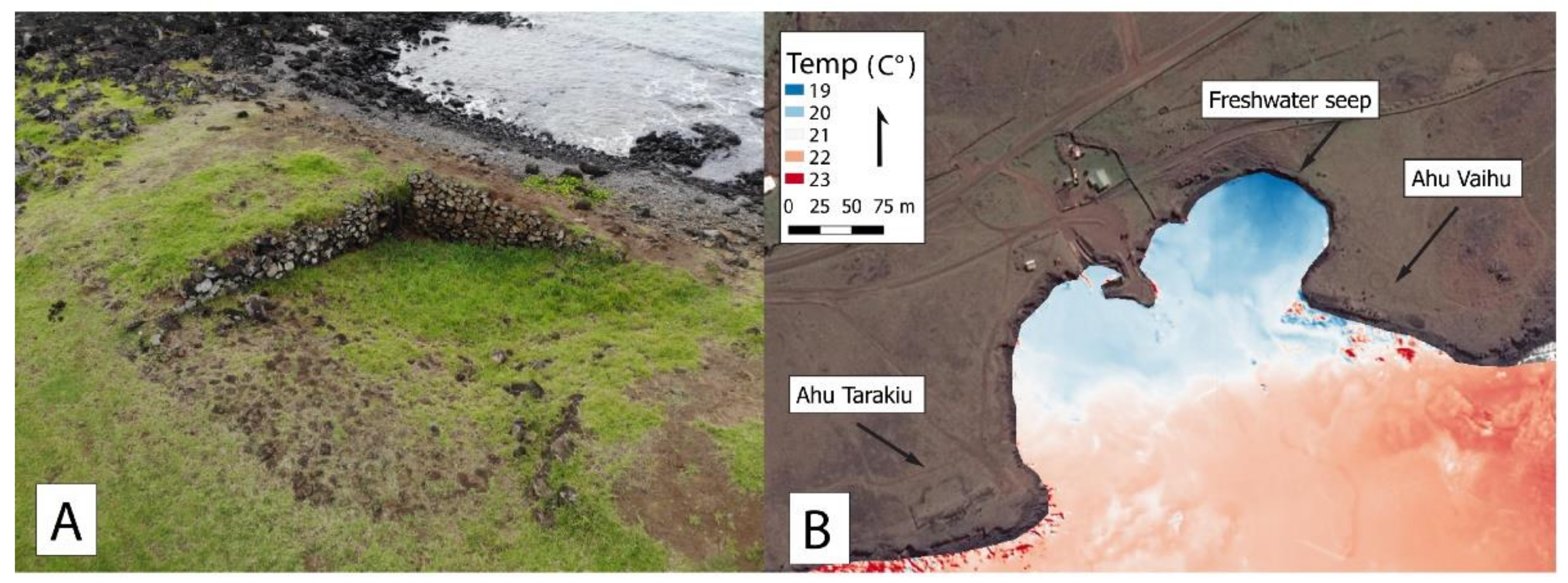 Sustainability 13 12118 g006