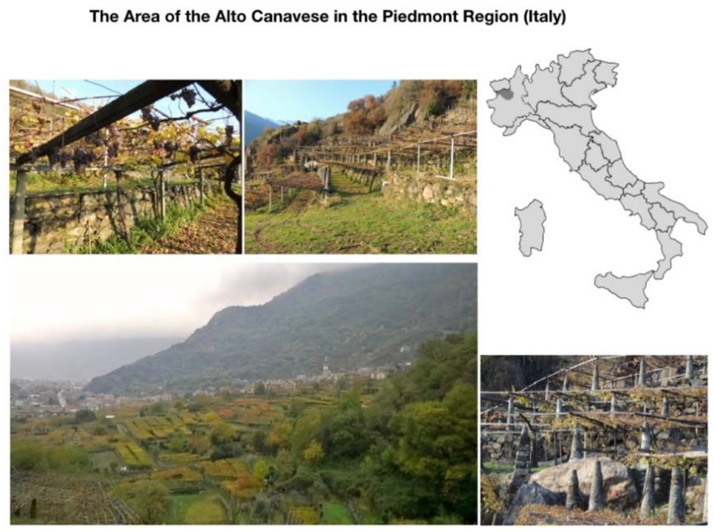 Sustainability 13 12122 g001