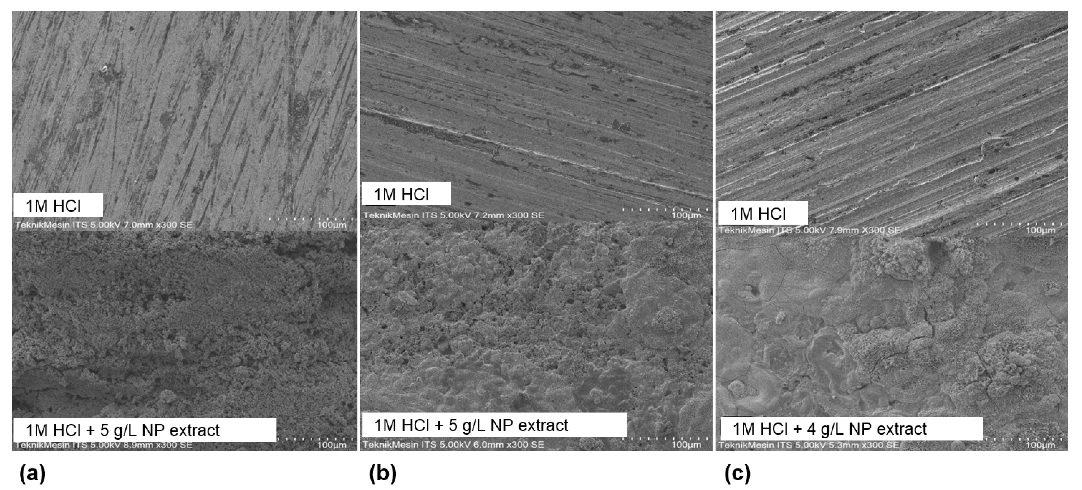Sustainability 13 12135 g006 550