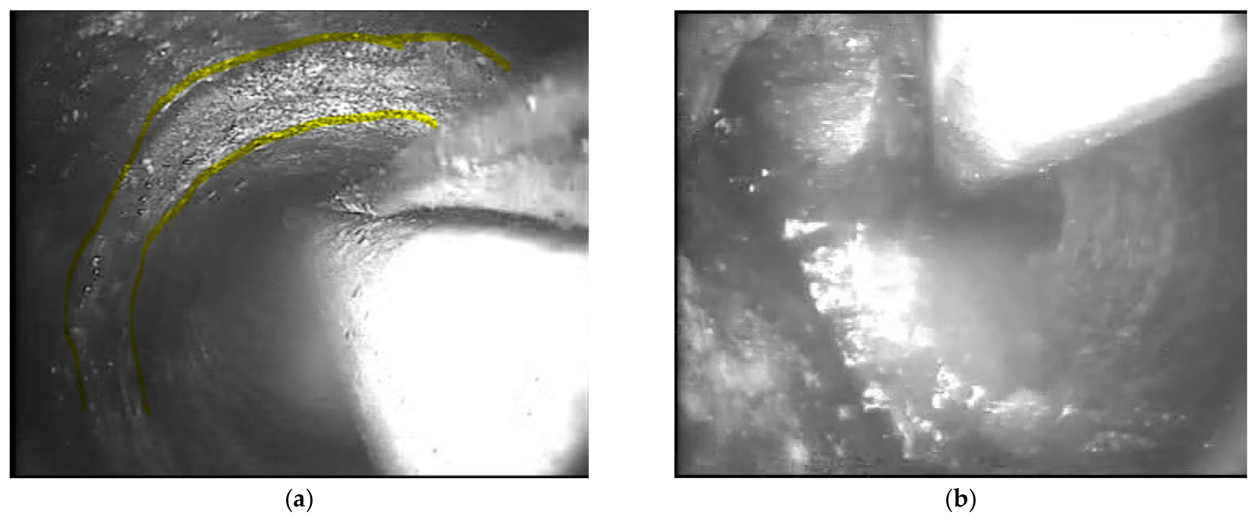 Sustainability 13 12149 g0a3 550