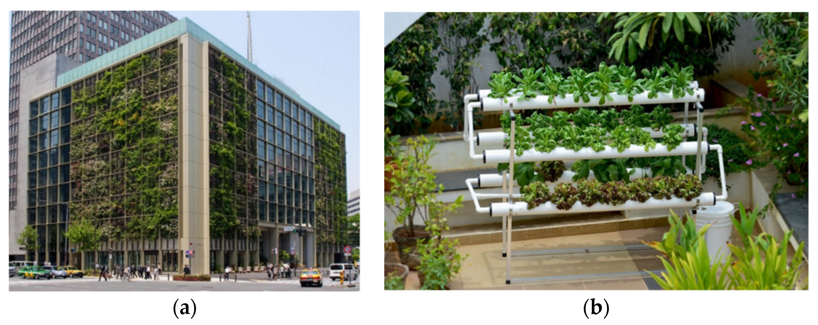 Sustainability 13 12151 g002a 550