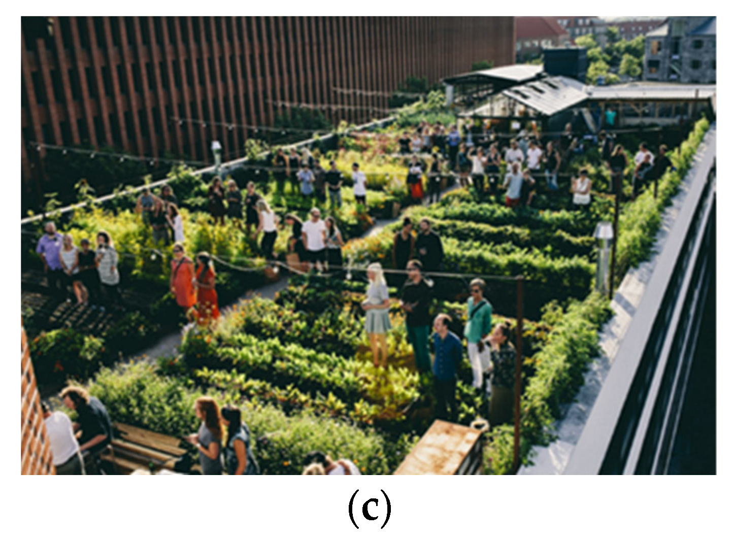 Sustainability 13 12151 g002b 550