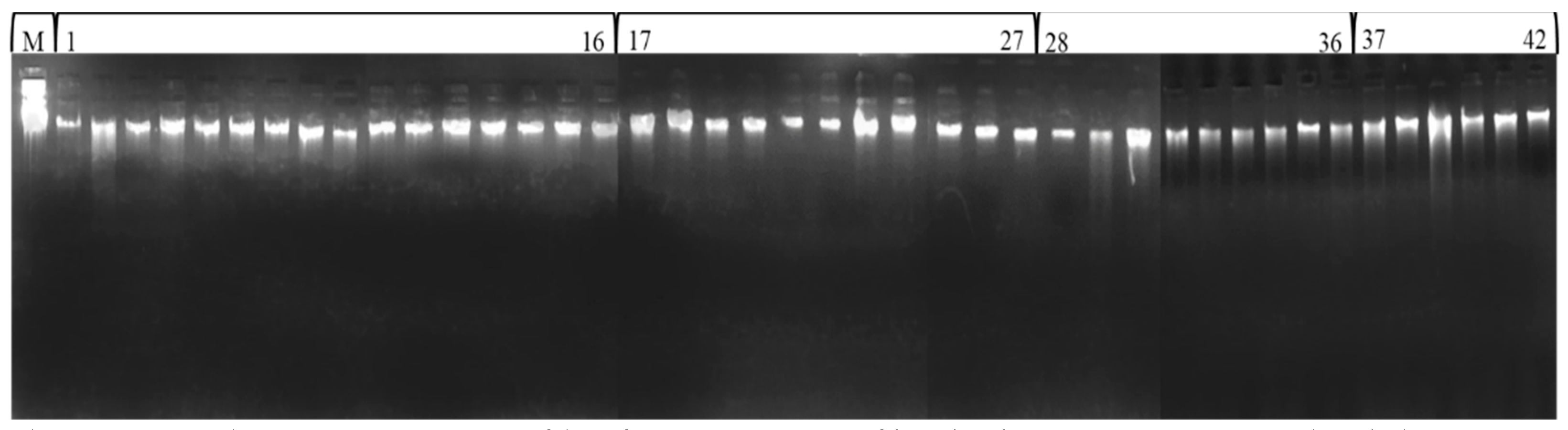 Sustainability 13 12165 g002