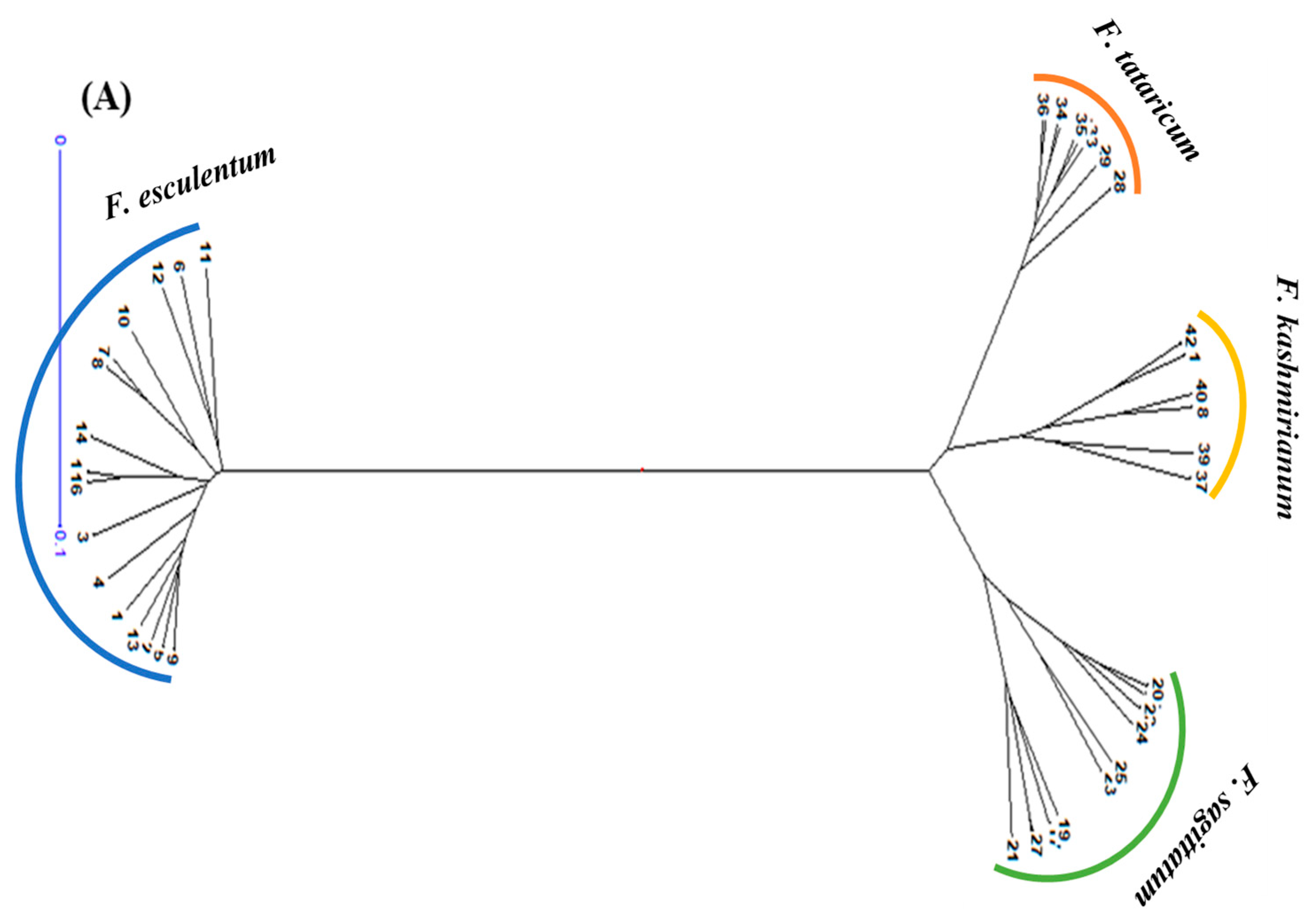 Sustainability 13 12165 g006a