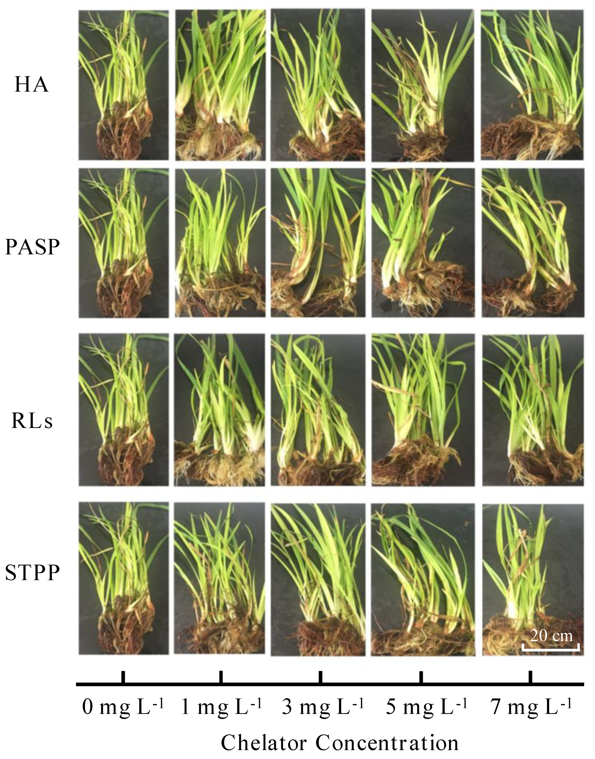 Sustainability 13 12170 g001 550
