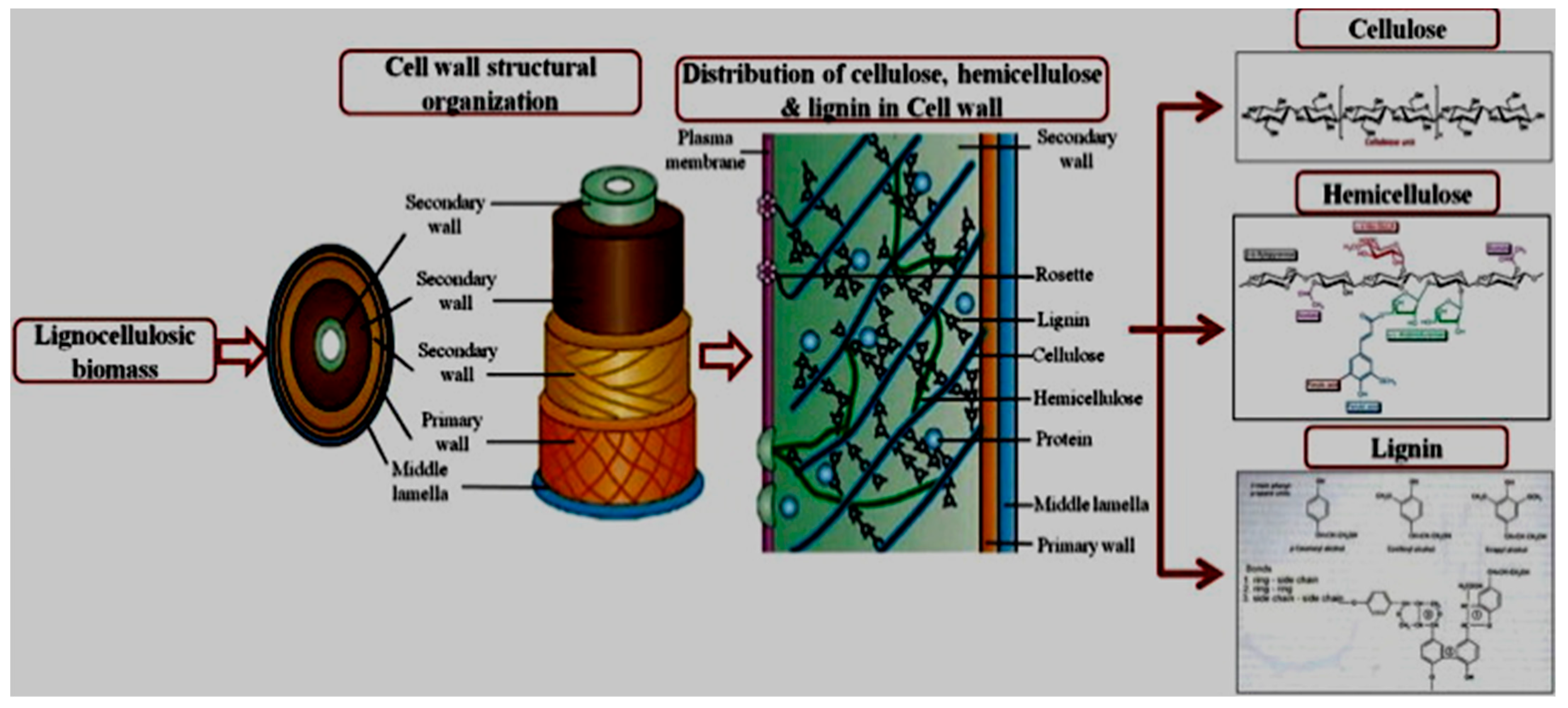 Sustainability 13 12200 g001 Sustainability 13 12200 g001