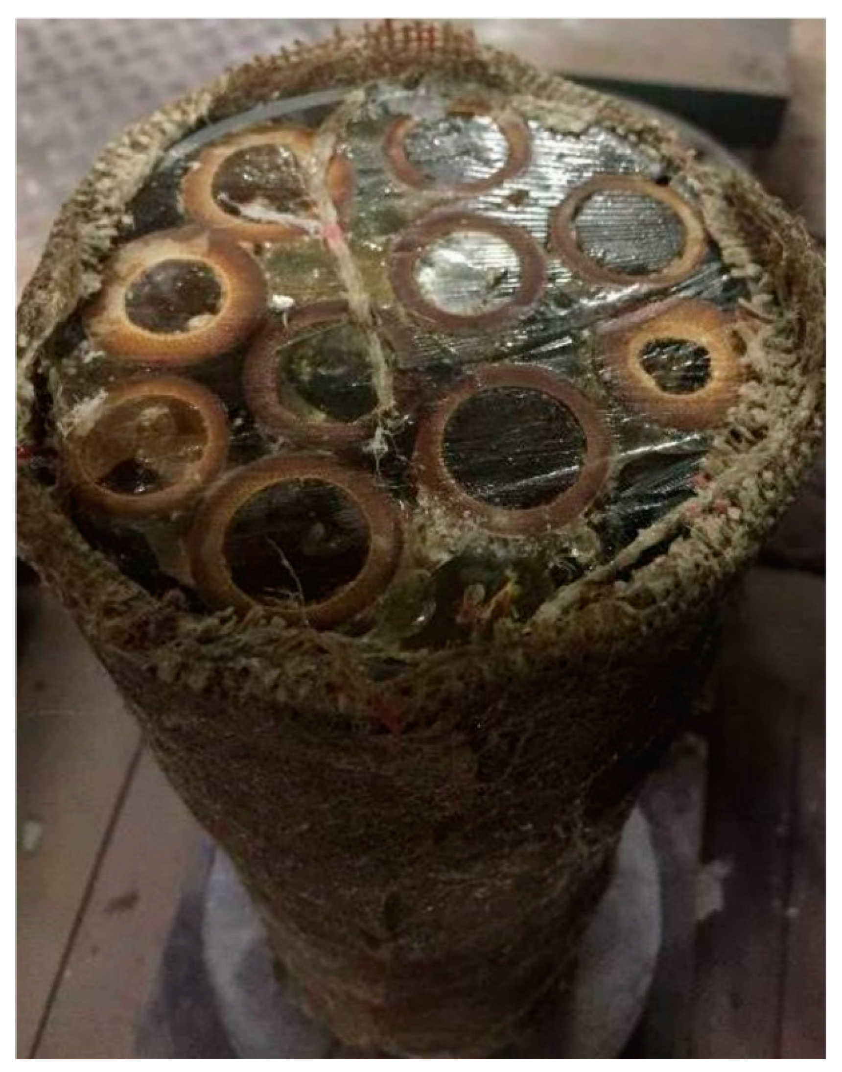 Sustainability 13 12200 g005 Sustainability 13 12200 g005