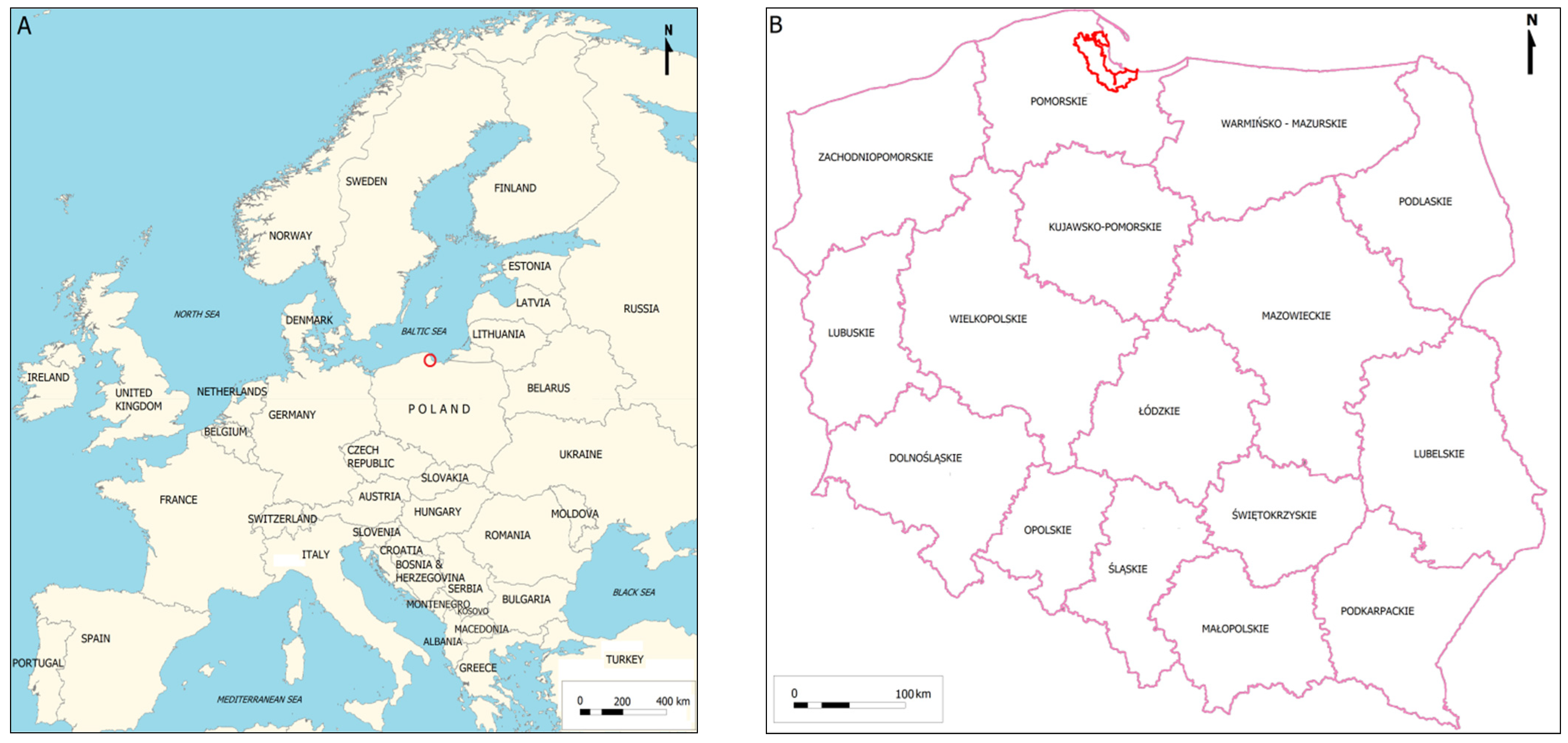 Sustainability 13 12223 g001