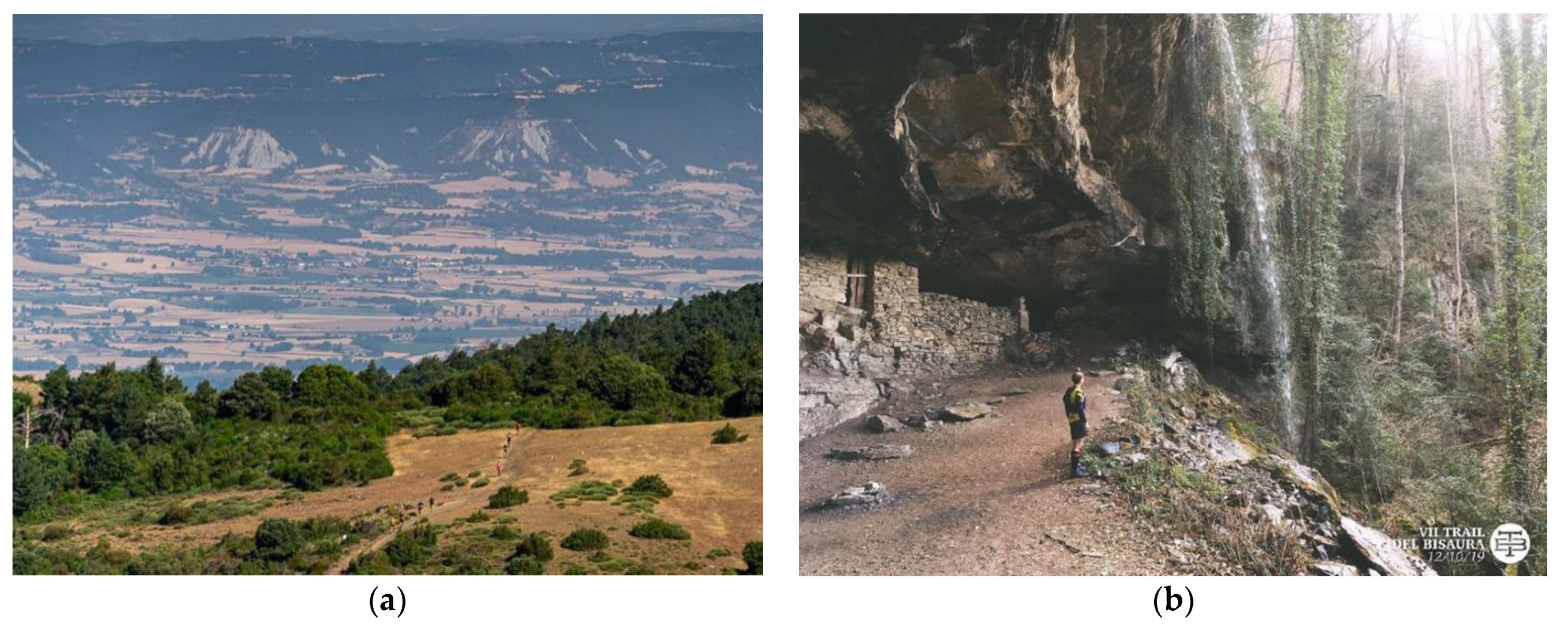 Sustainability 13 12255 g001 550