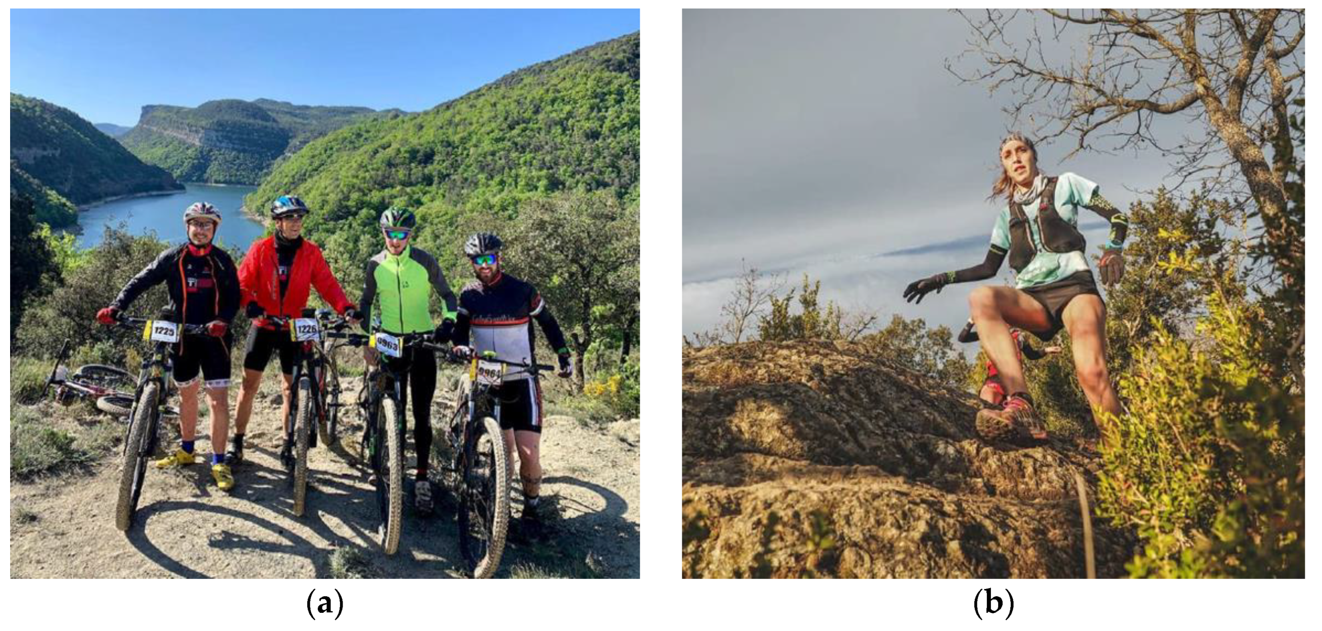 Sustainability 13 12255 g003 550