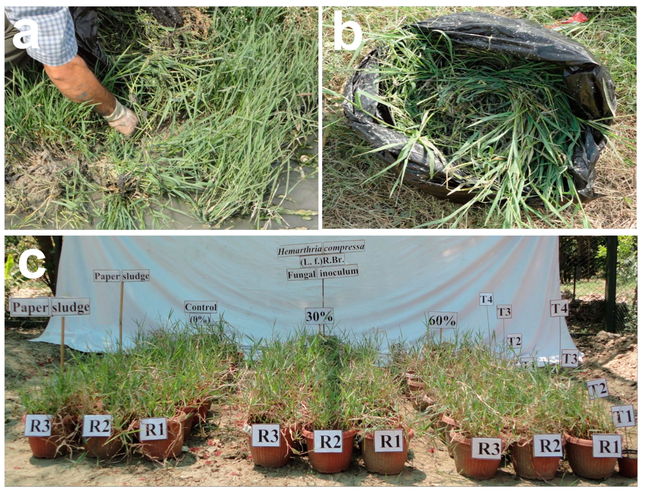 Sustainability 13 12266 g002