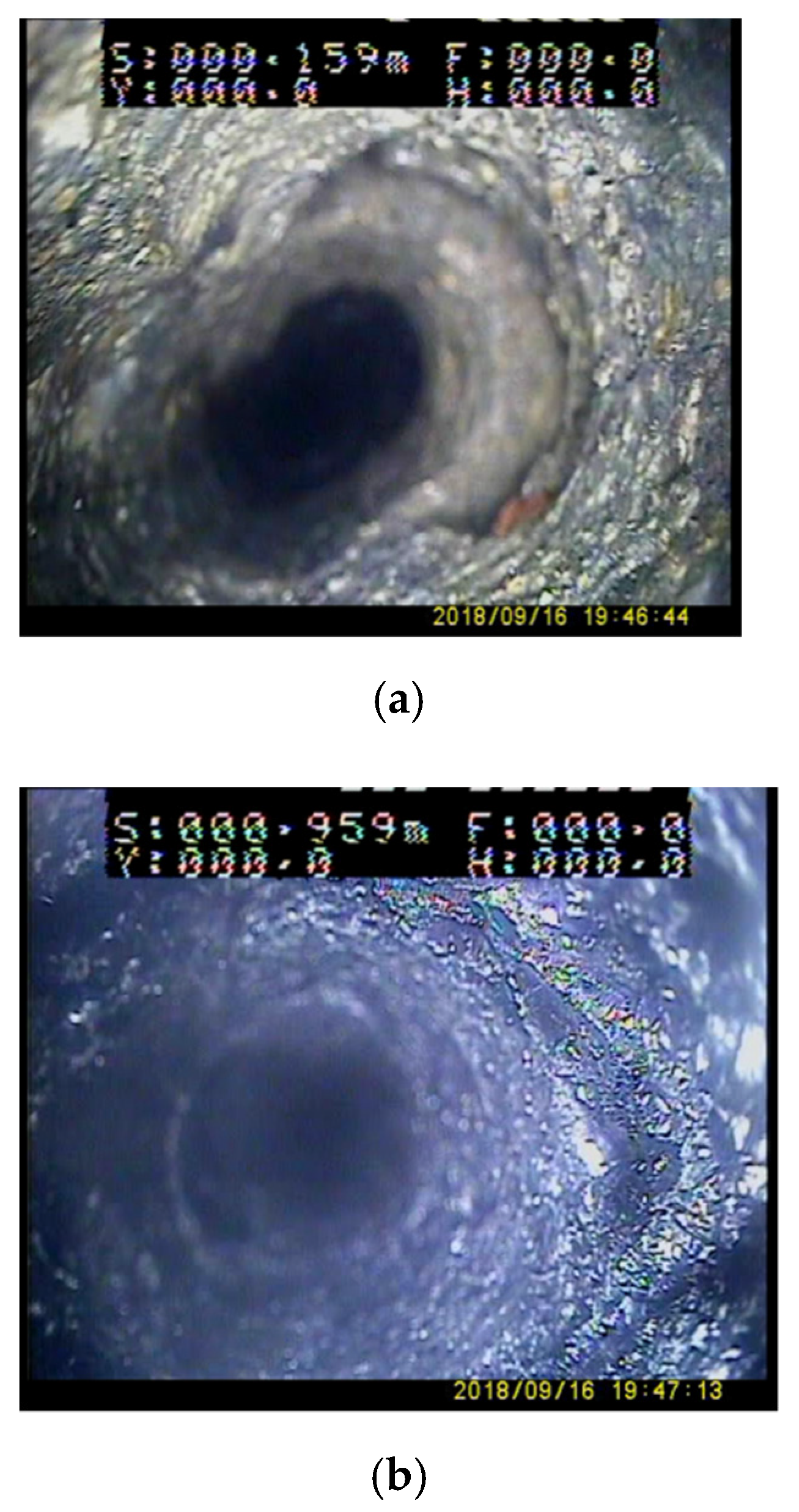 Sustainability 13 12300 g005a 550
