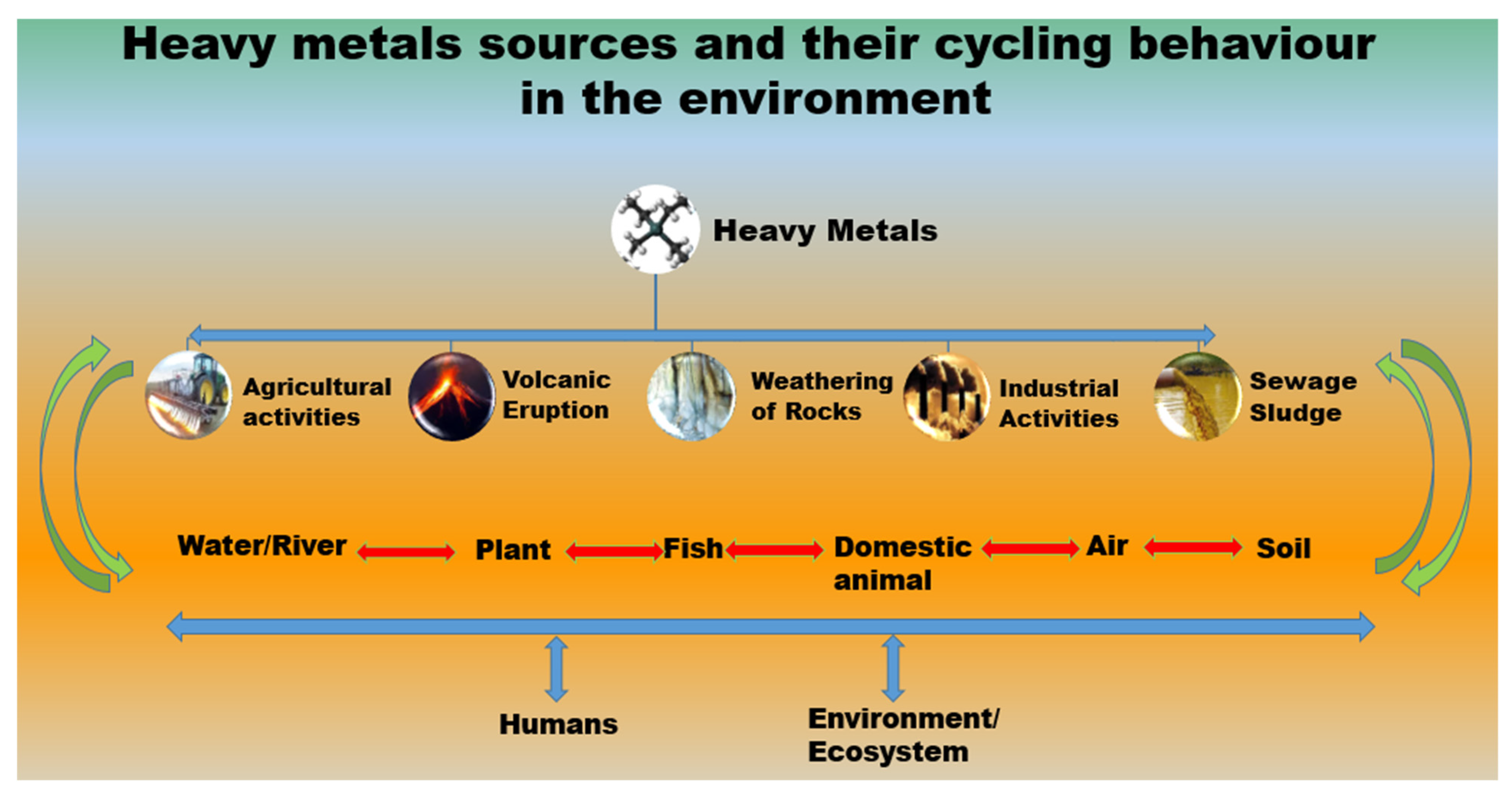 Sustainability Free FullText Removal of Toxic Heavy Metals from