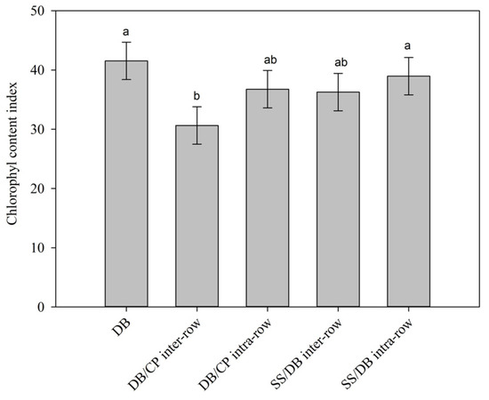 legitimate kinsey scale test legitimate kinsey scale test