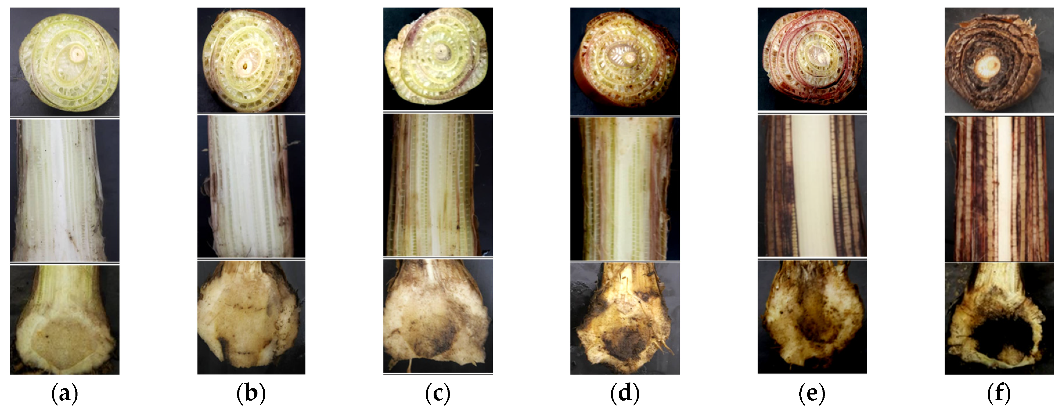 Sustainability 13 12335 g002 550