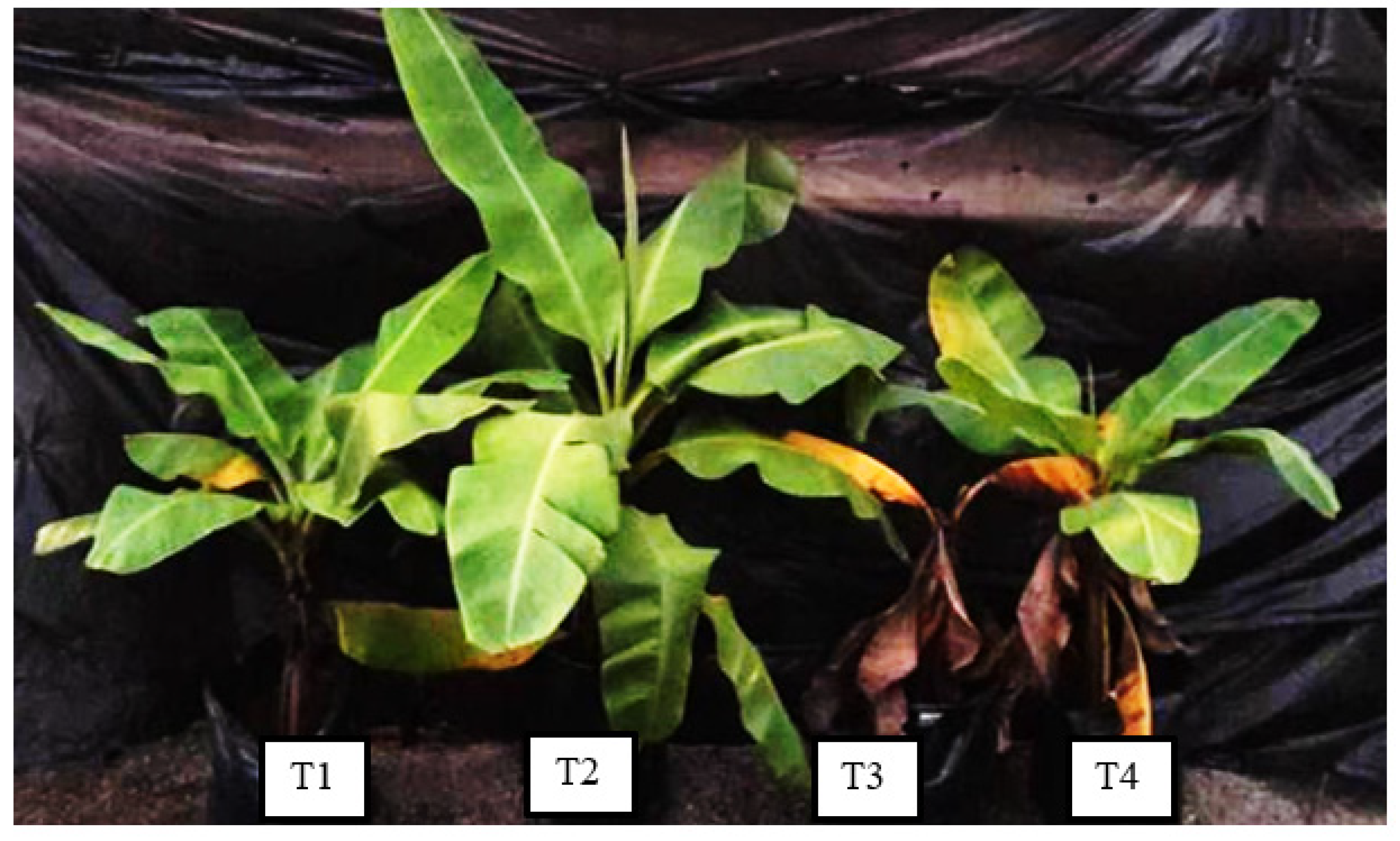 Sustainability 13 12335 g003 550