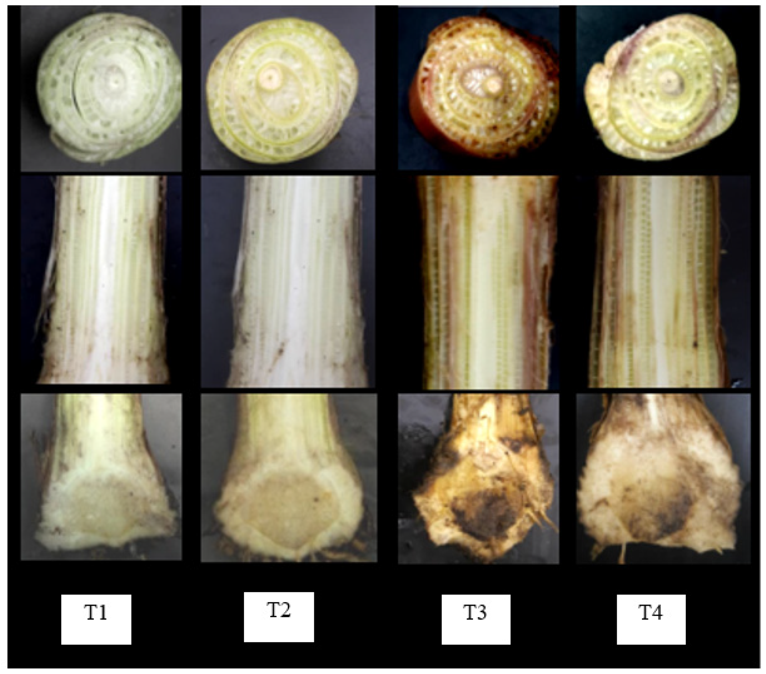 Sustainability 13 12335 g004 550