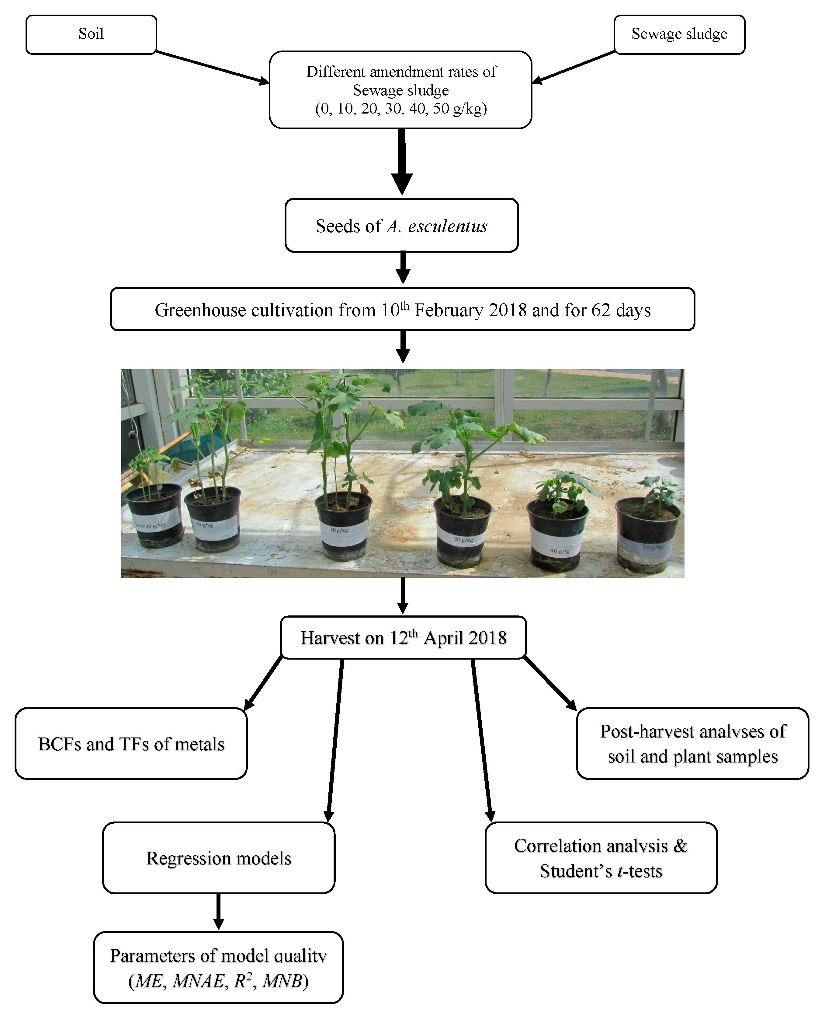 Sustainability 13 12356 g001 550