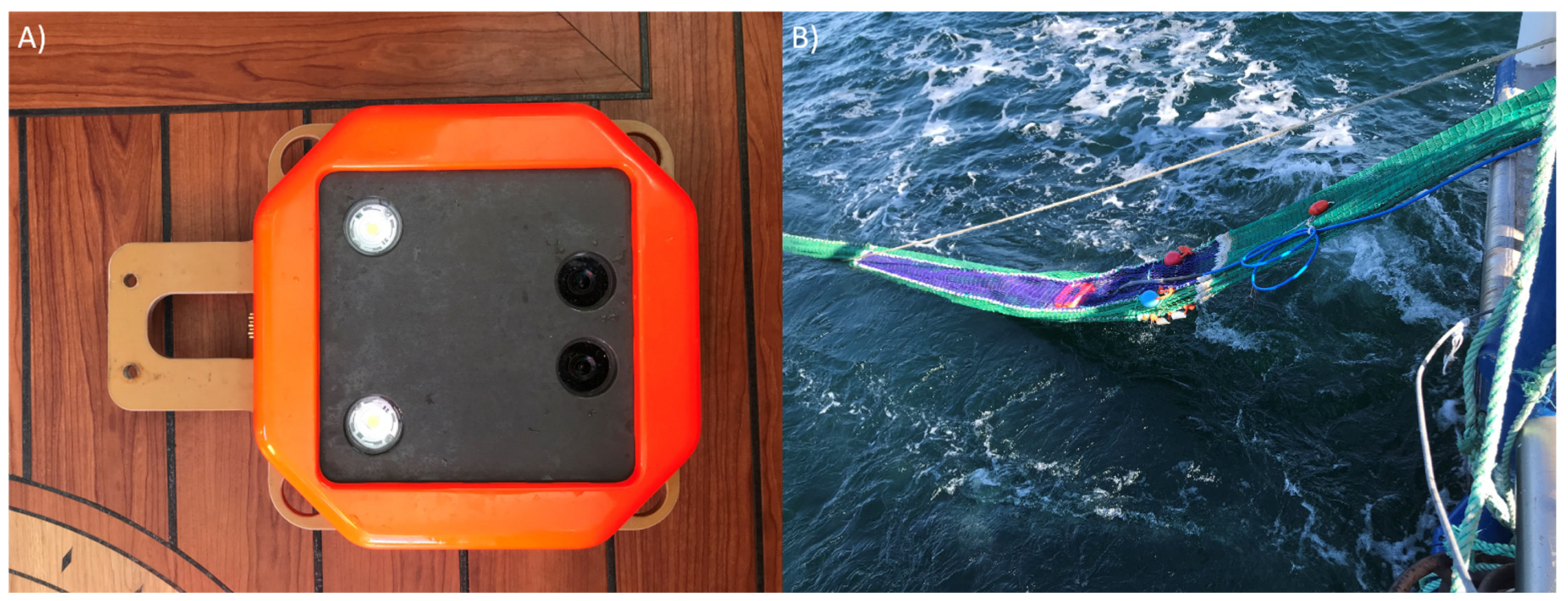 Sustainability 13 12362 g001