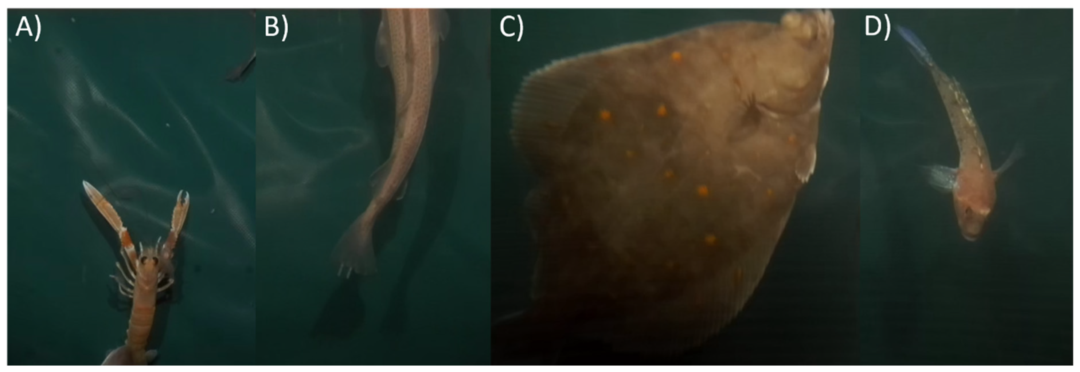 Sustainability 13 12362 g002