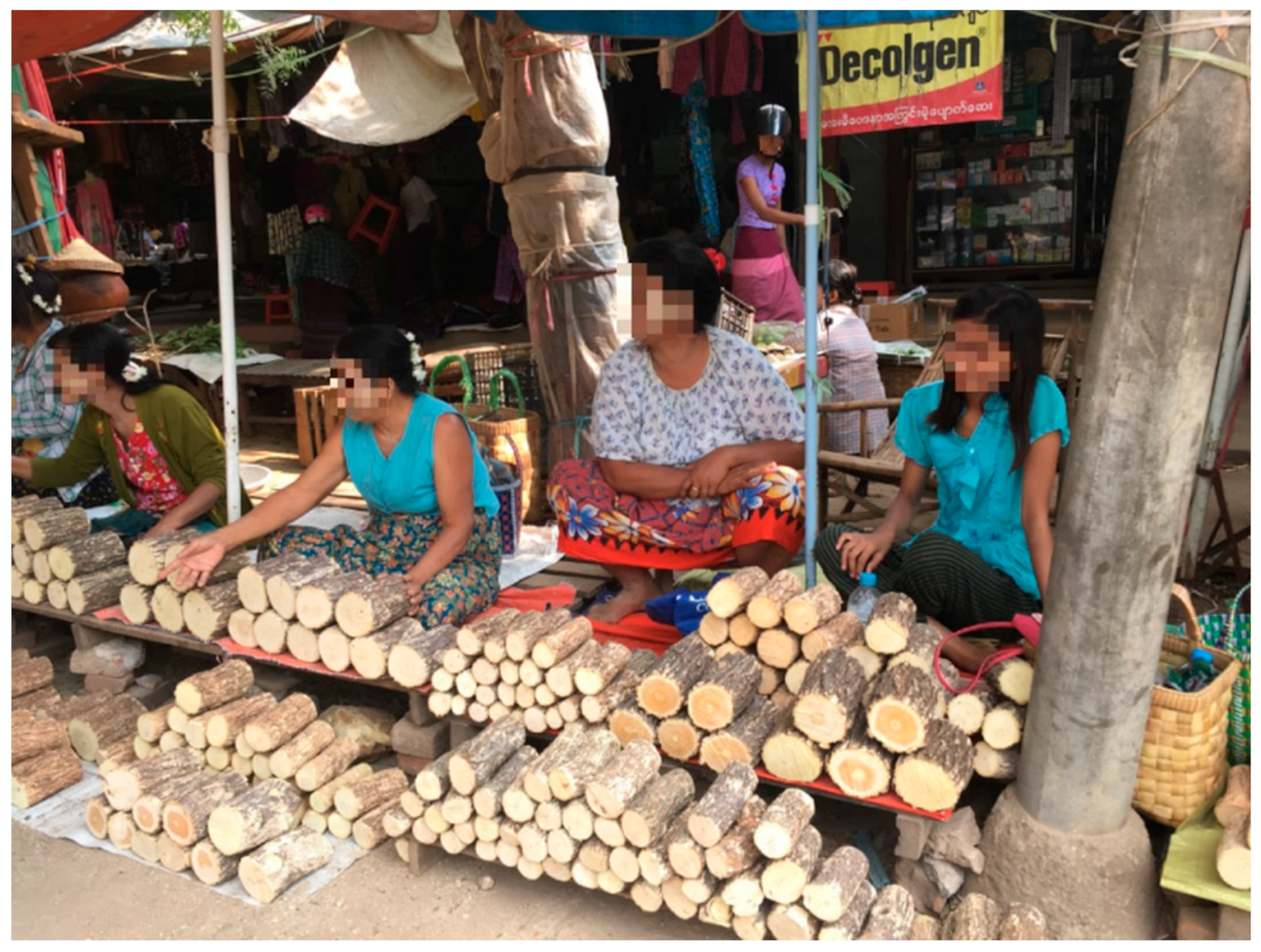 Sustainability 13 12372 g008 Sustainability 13 12372 g008