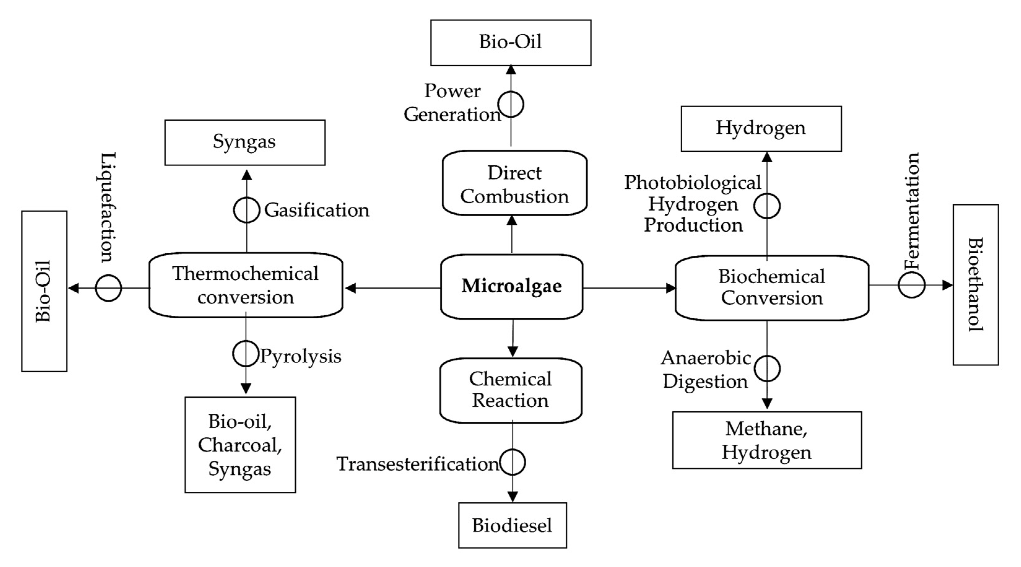 Sustainability 13 12374 g008