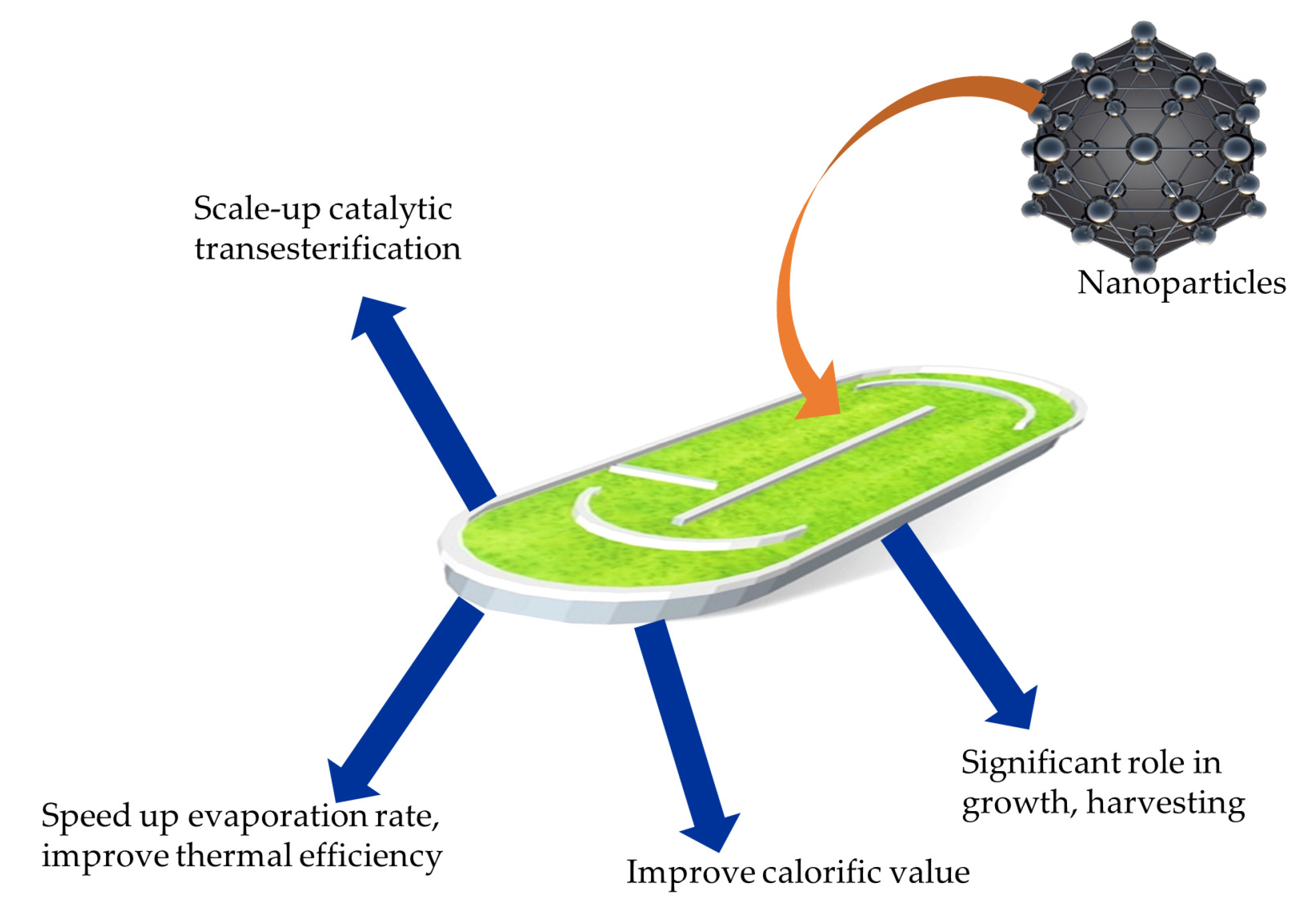 Sustainability 13 12374 g009