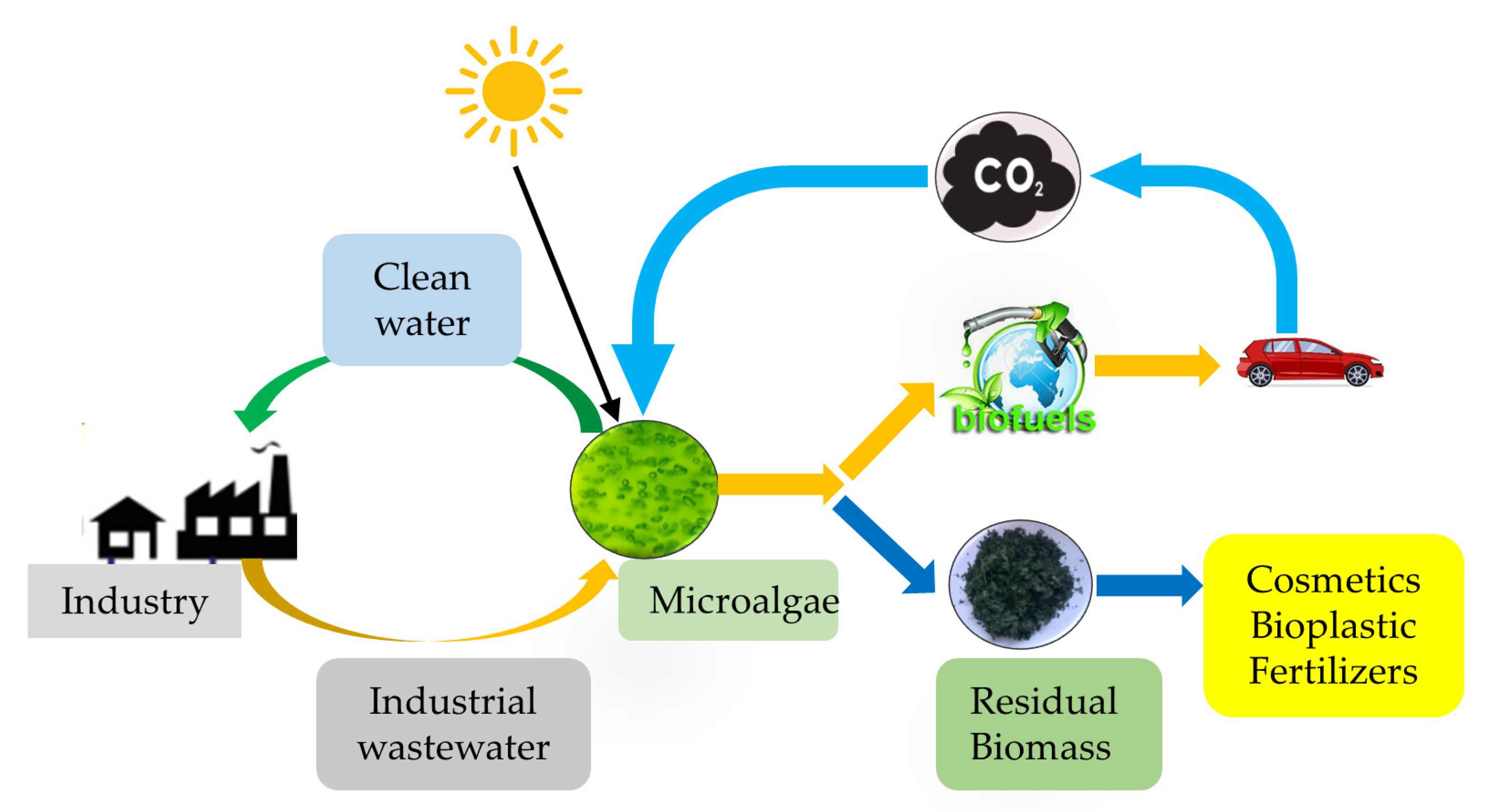 essay on green energy for carbon neutral ecosystem