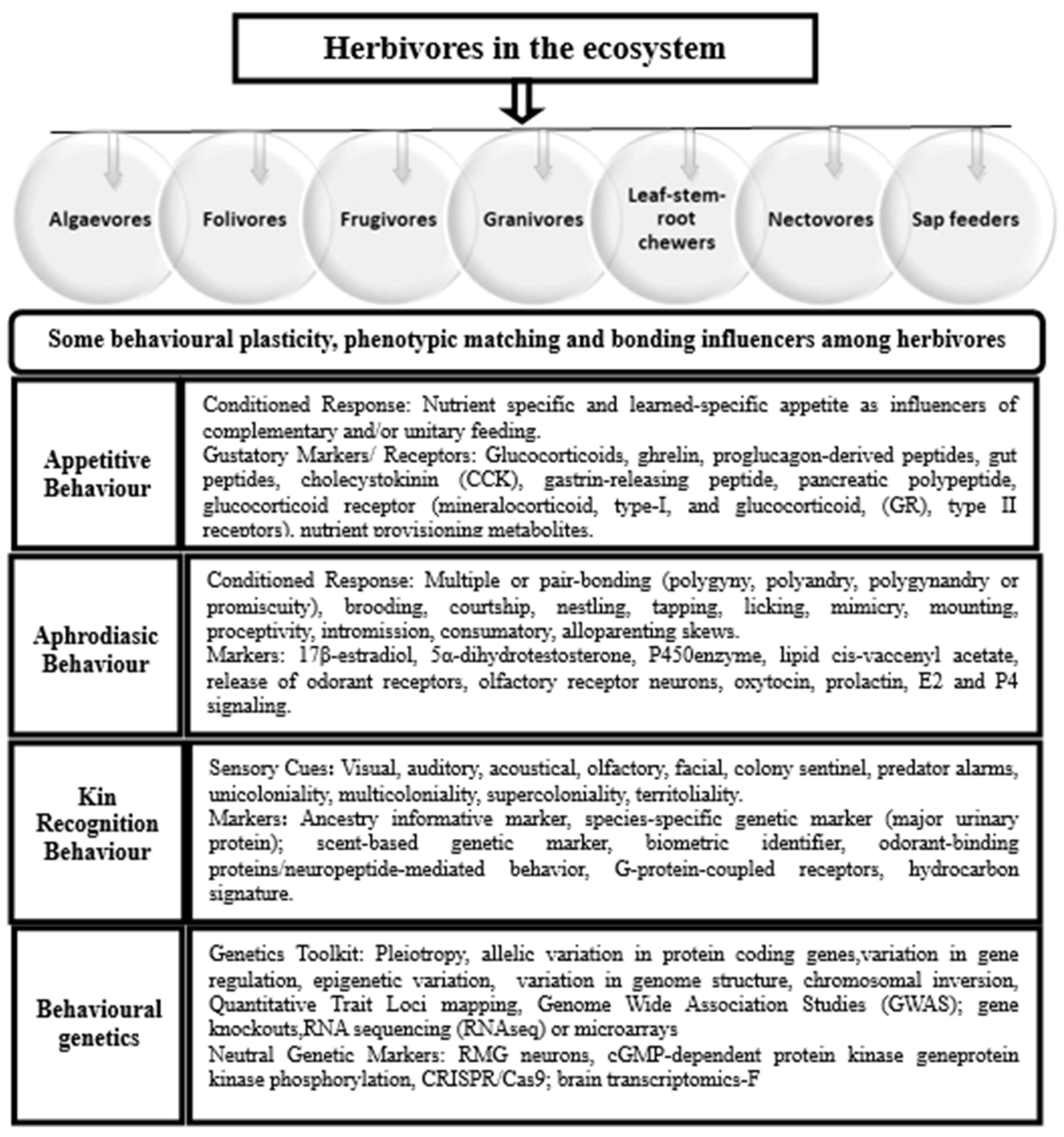 Sustainability 13 12381 g001