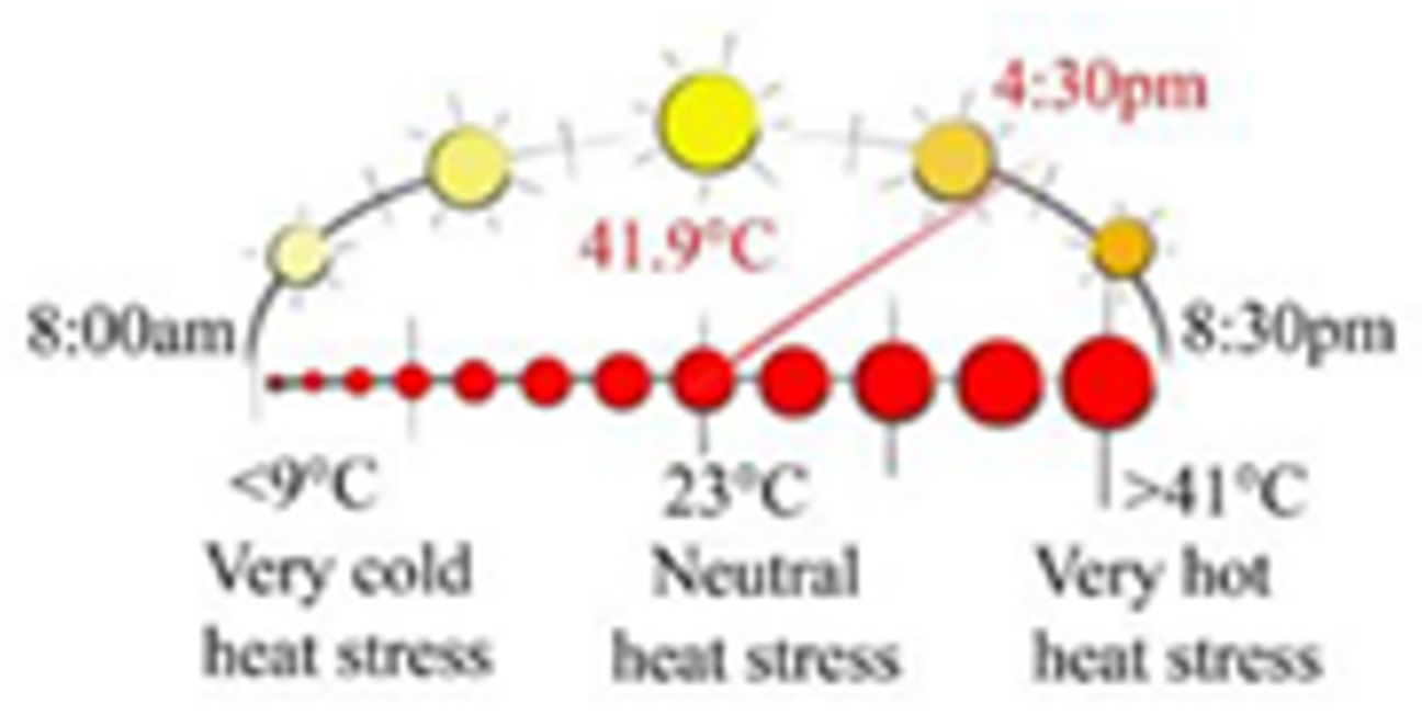 Sustainability 13 12385 i057