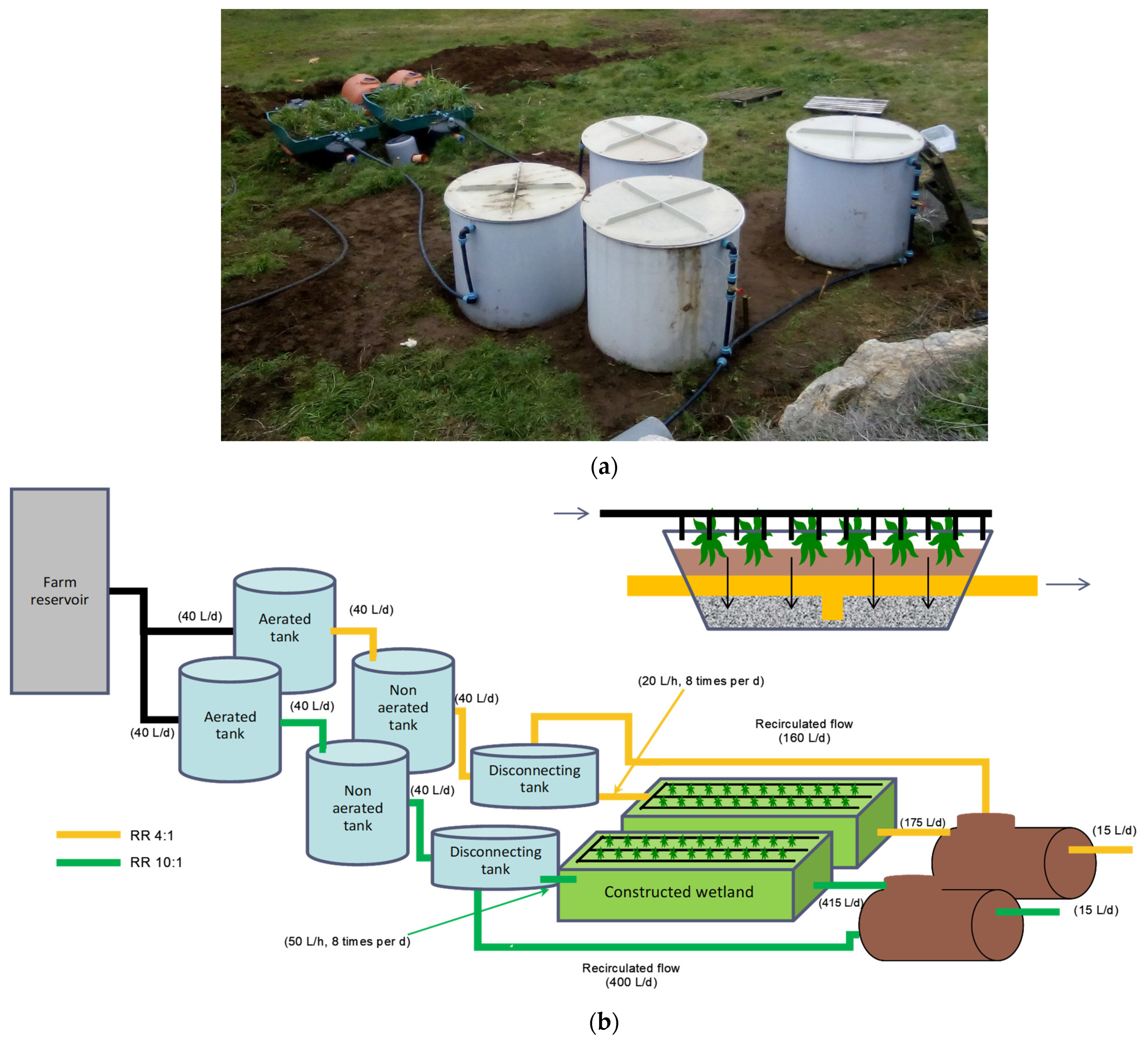 Sustainability 13 12390 g001