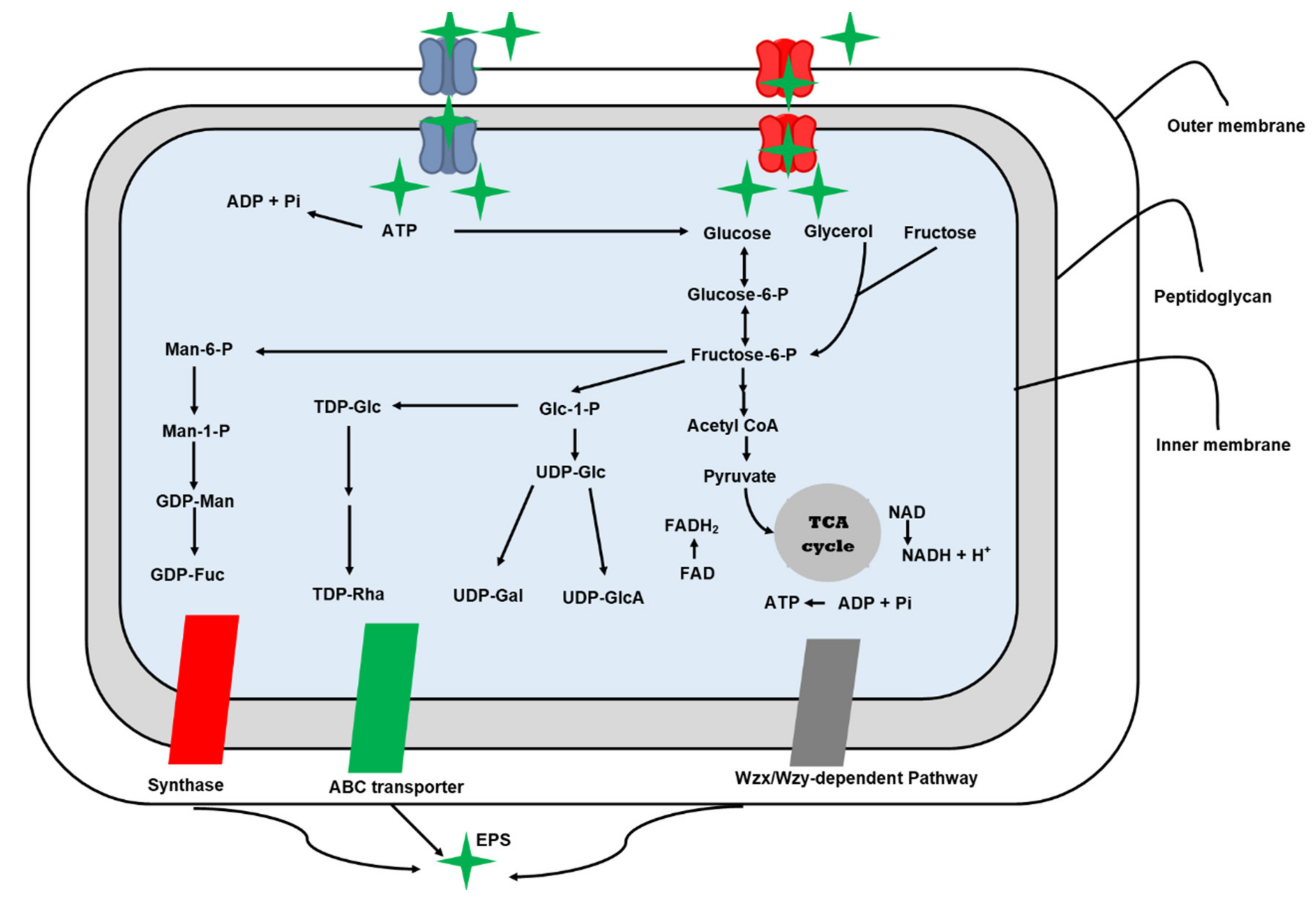 Sustainability 13 12429 g002