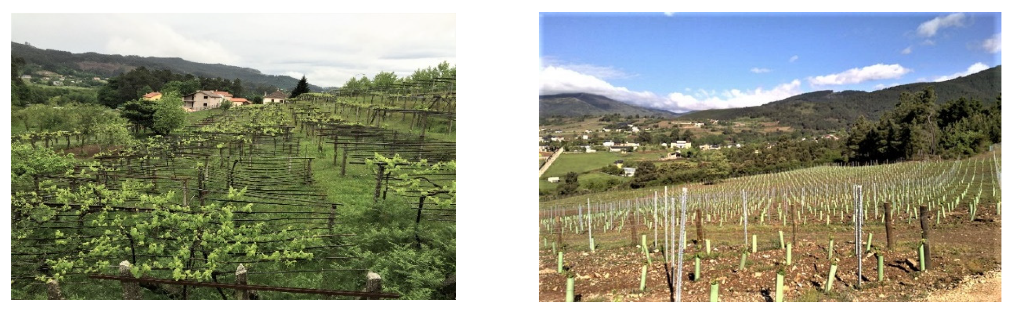 Sustainability 13 12492 g003 550