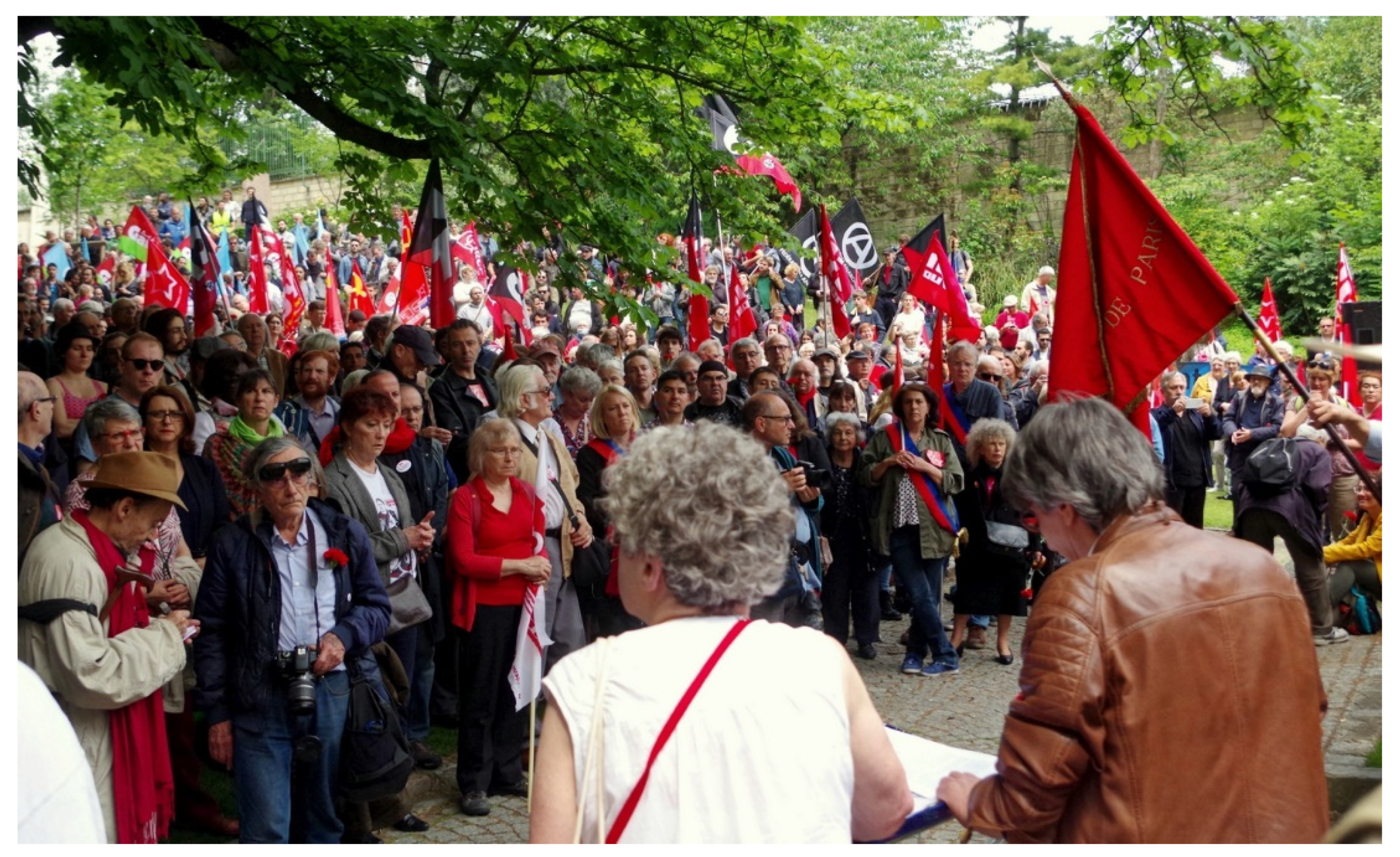 Sustainability 13 12492 g011 550