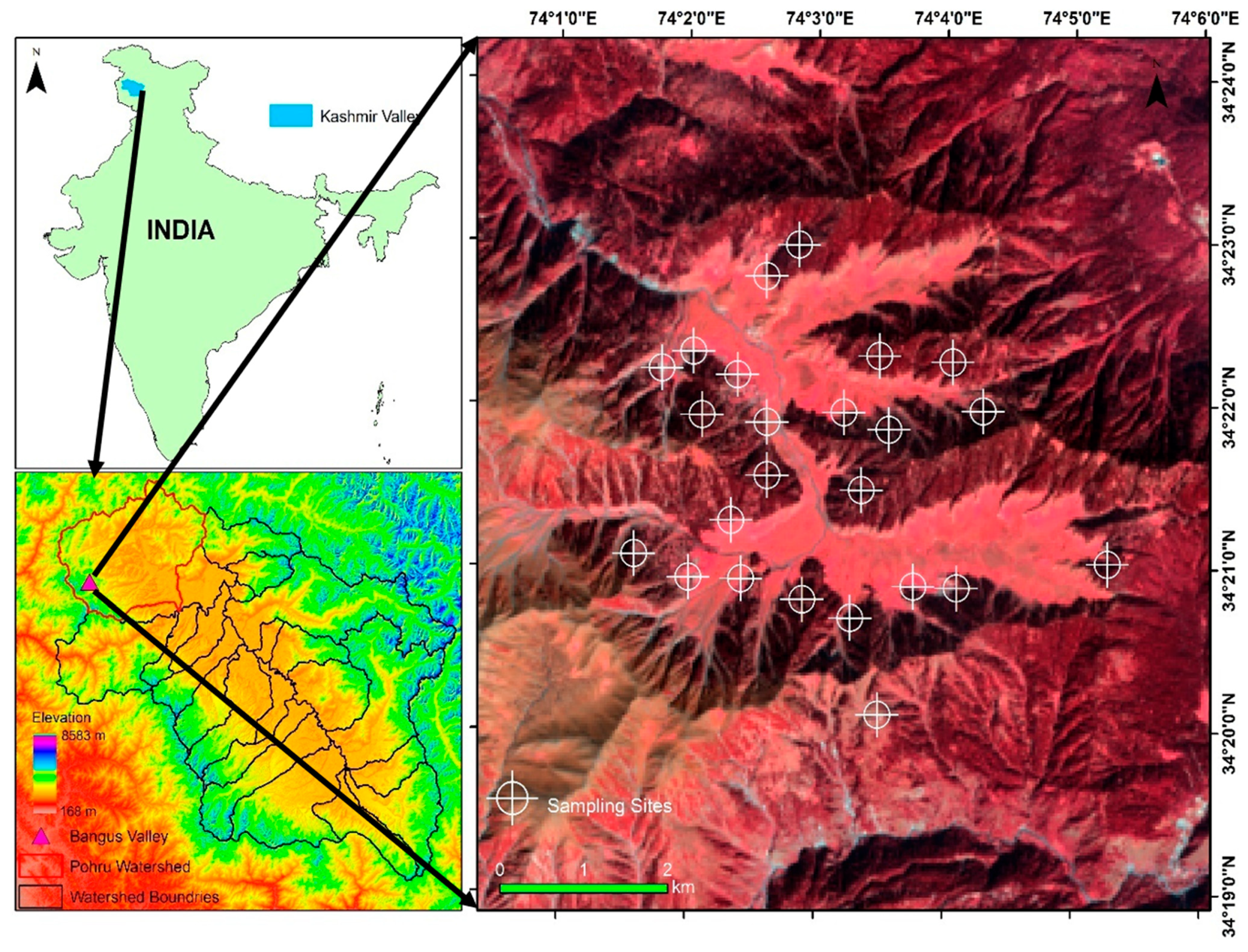 Sustainability 13 12497 g001