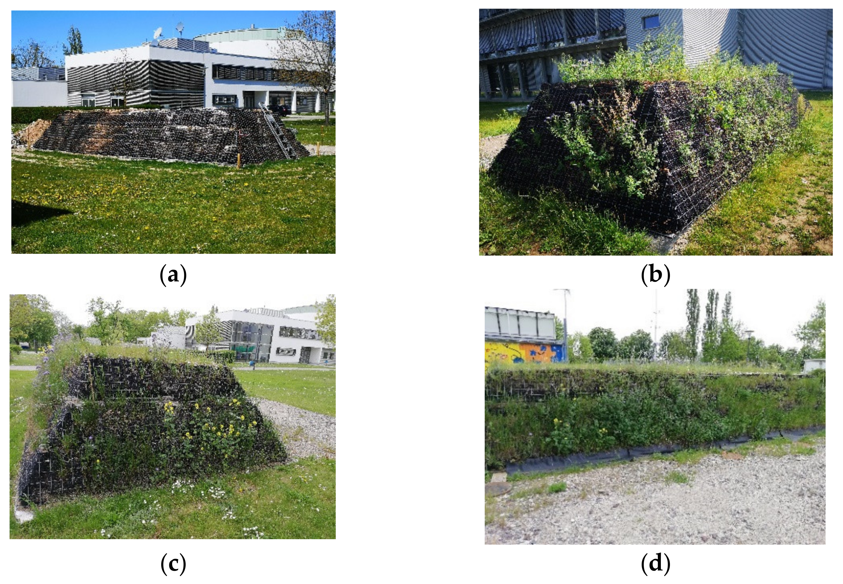 Sustainability 13 12519 g011 550