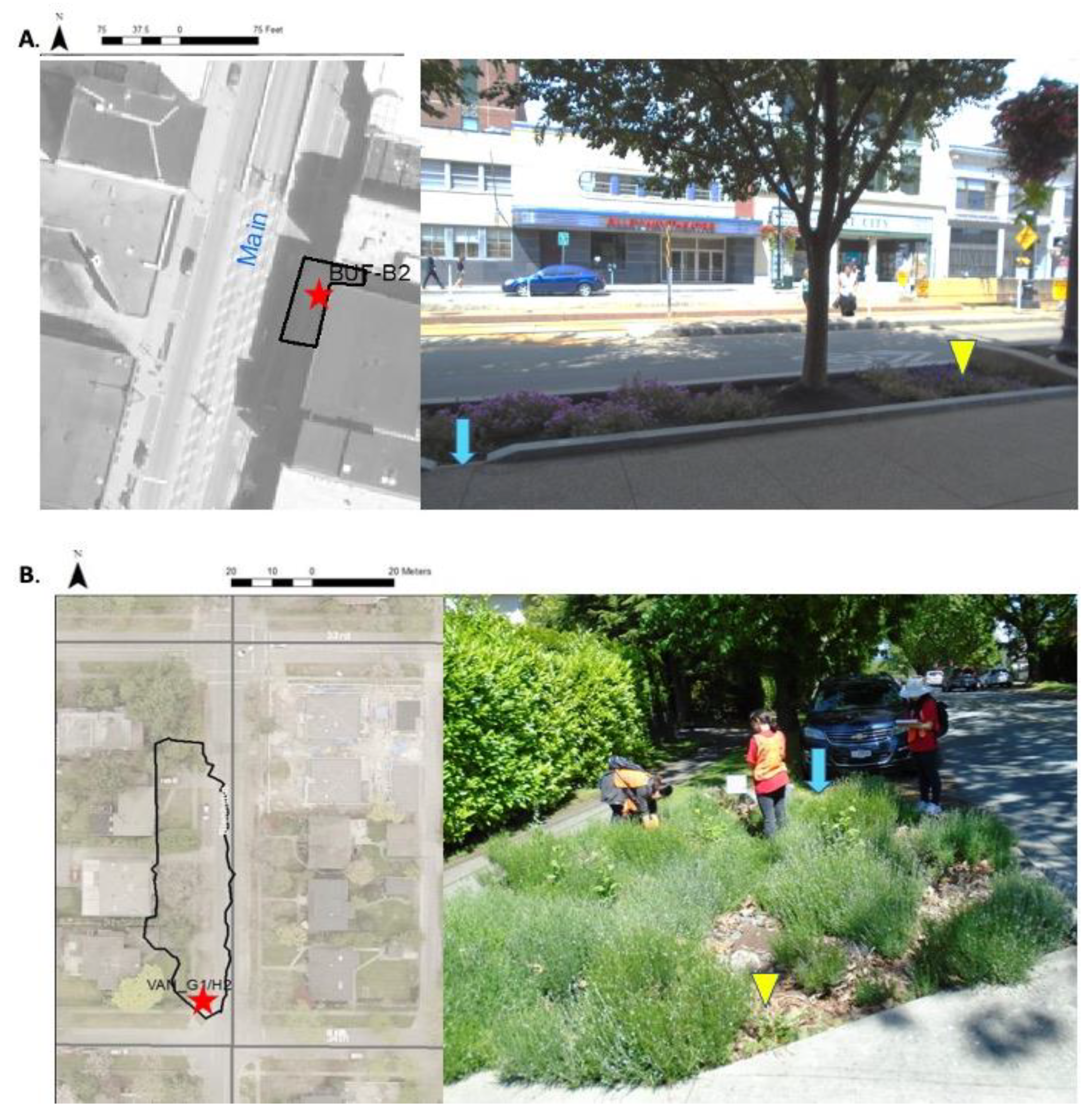 Sustainability 13 12520 g008 550