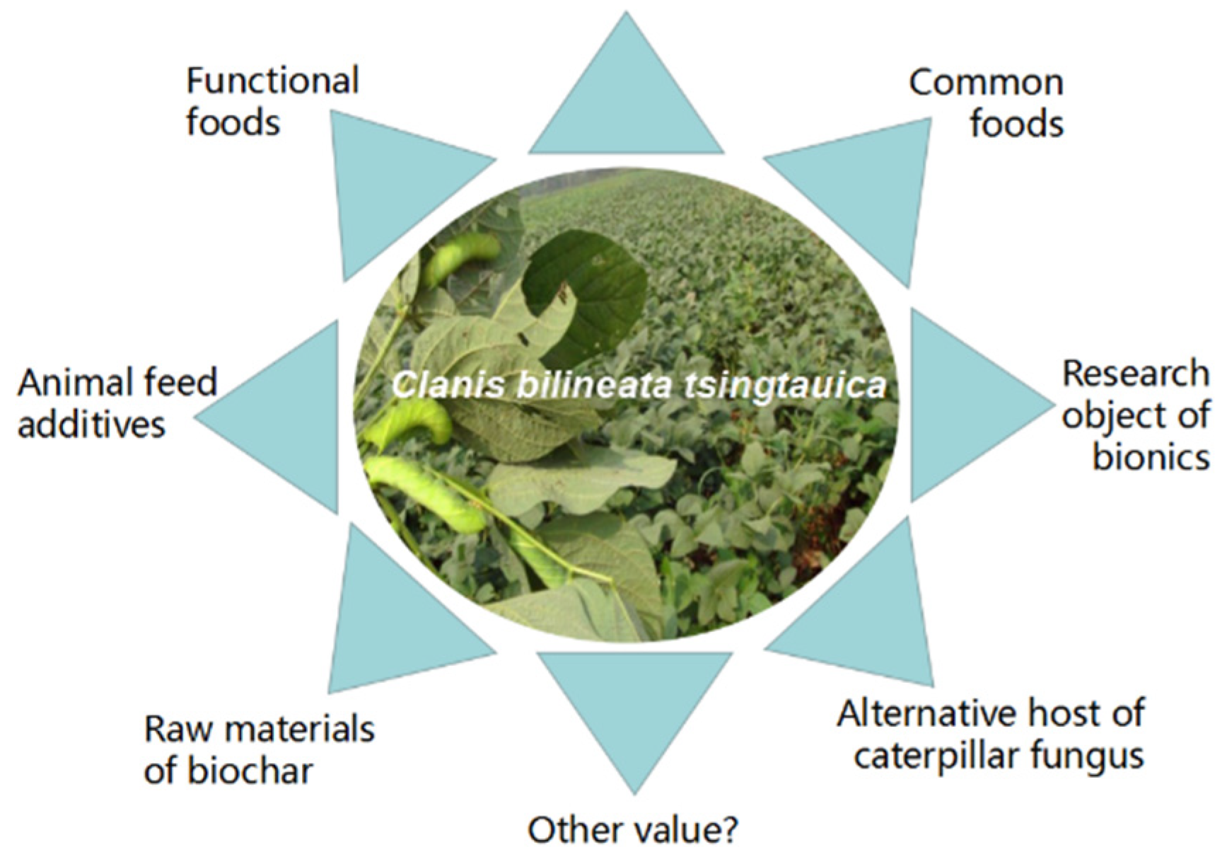 Sustainability 13 12533 g002