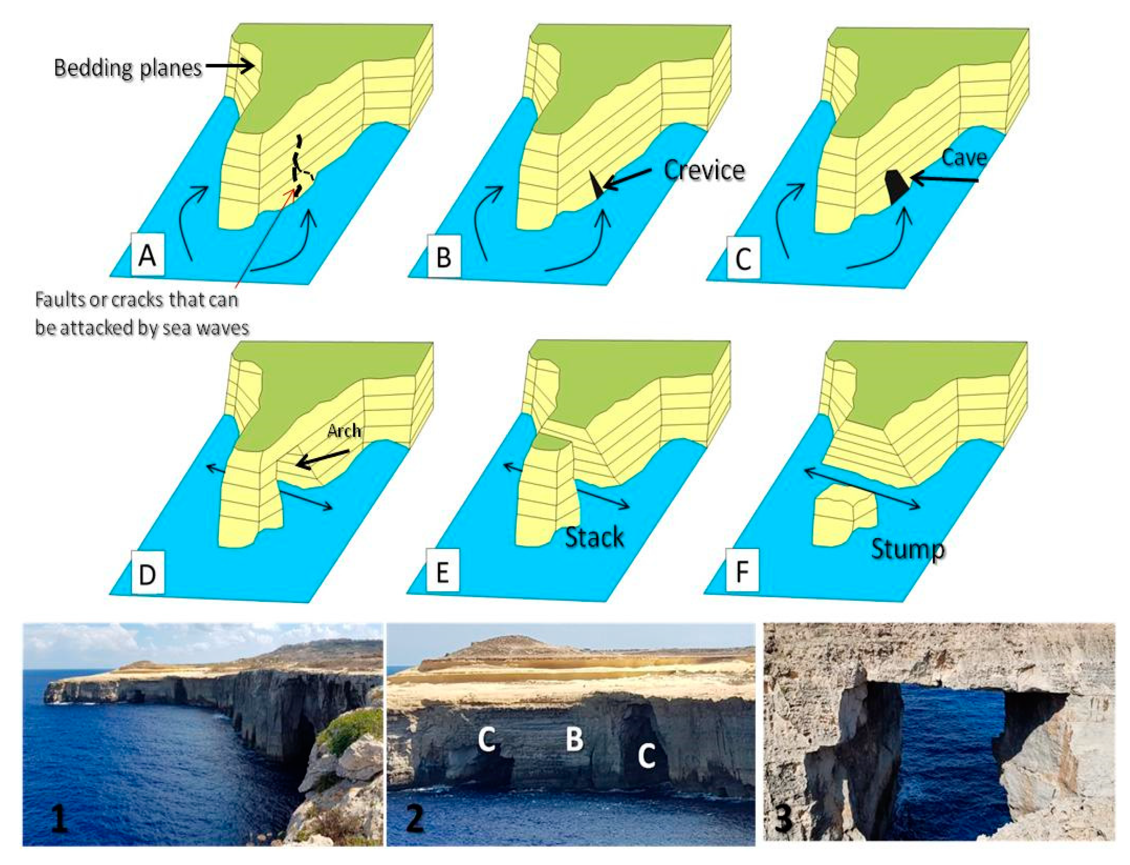 Sustainability 13 12538 g004